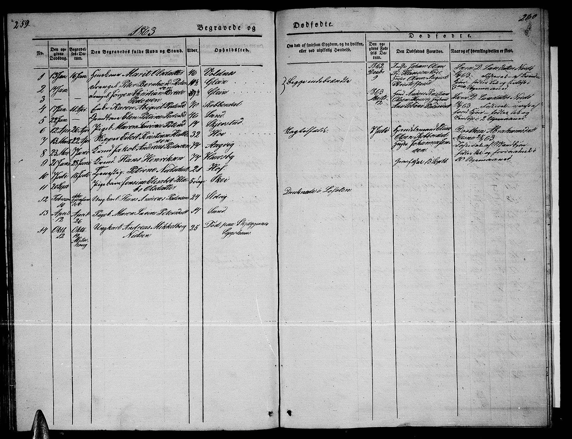Ministerialprotokoller, klokkerbøker og fødselsregistre - Nordland, SAT/A-1459/835/L0530: Parish register (copy) no. 835C02, 1842-1865, p. 259-260
