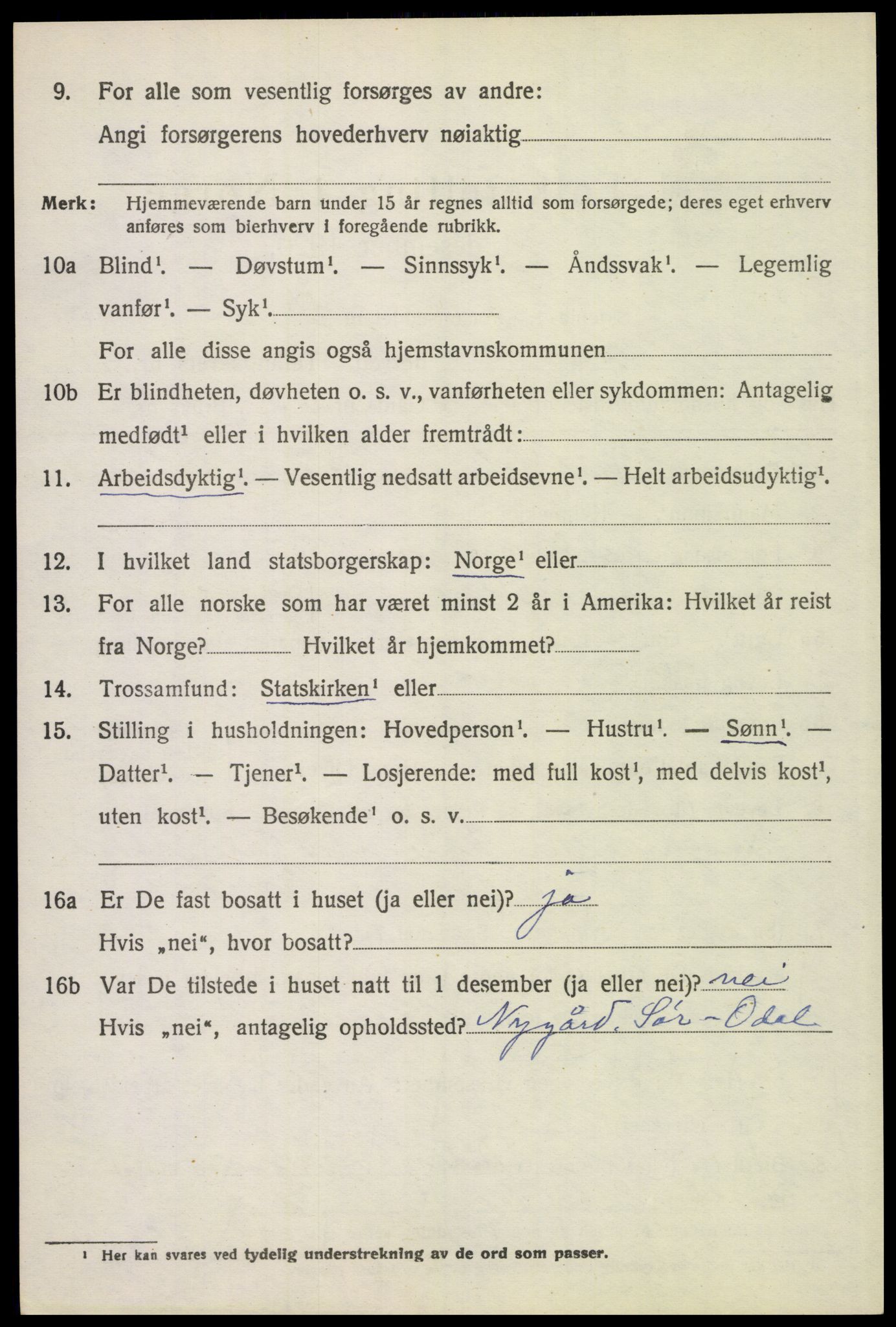 SAH, 1920 census for Sør-Odal, 1920, p. 12186