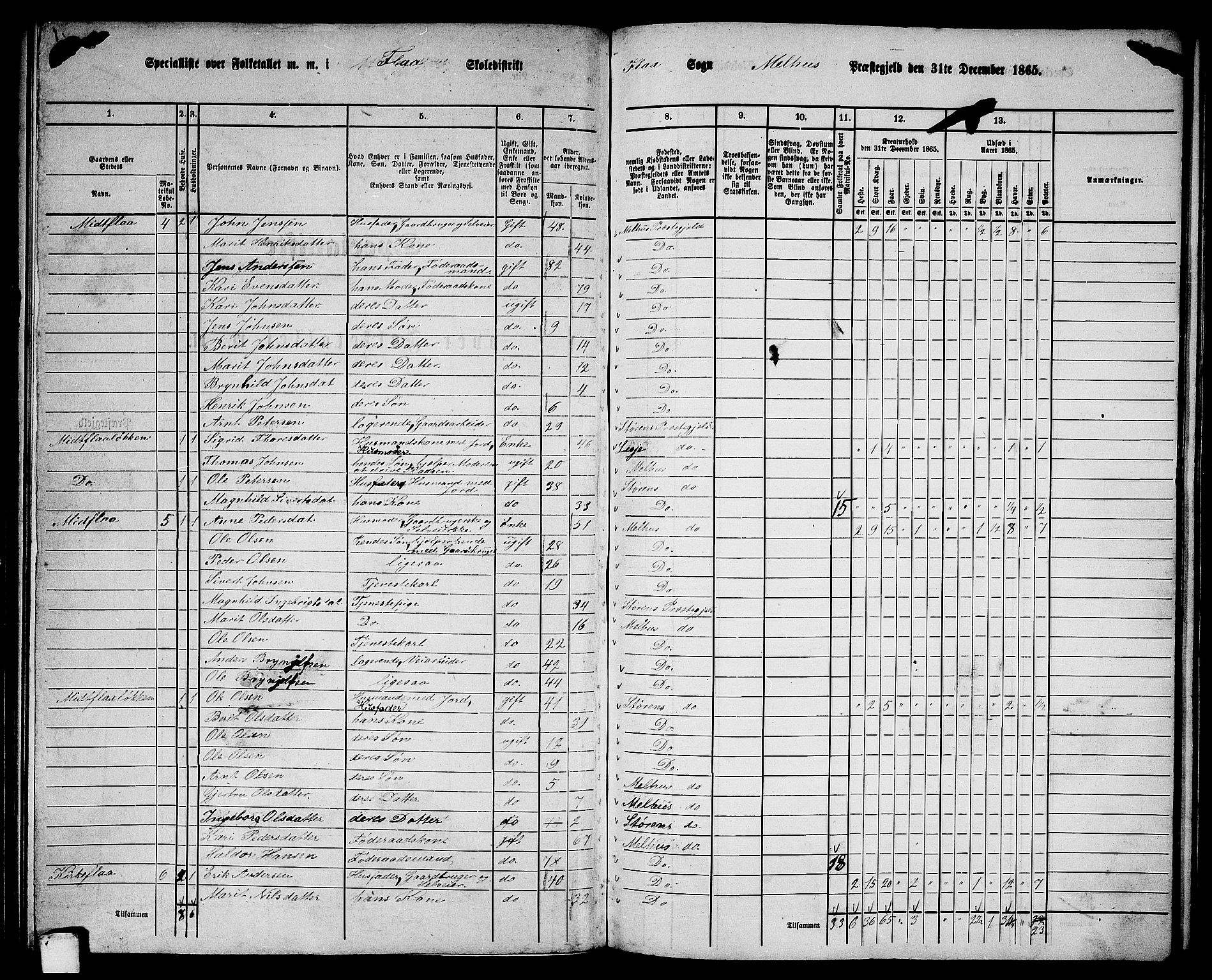 RA, 1865 census for Melhus, 1865, p. 132