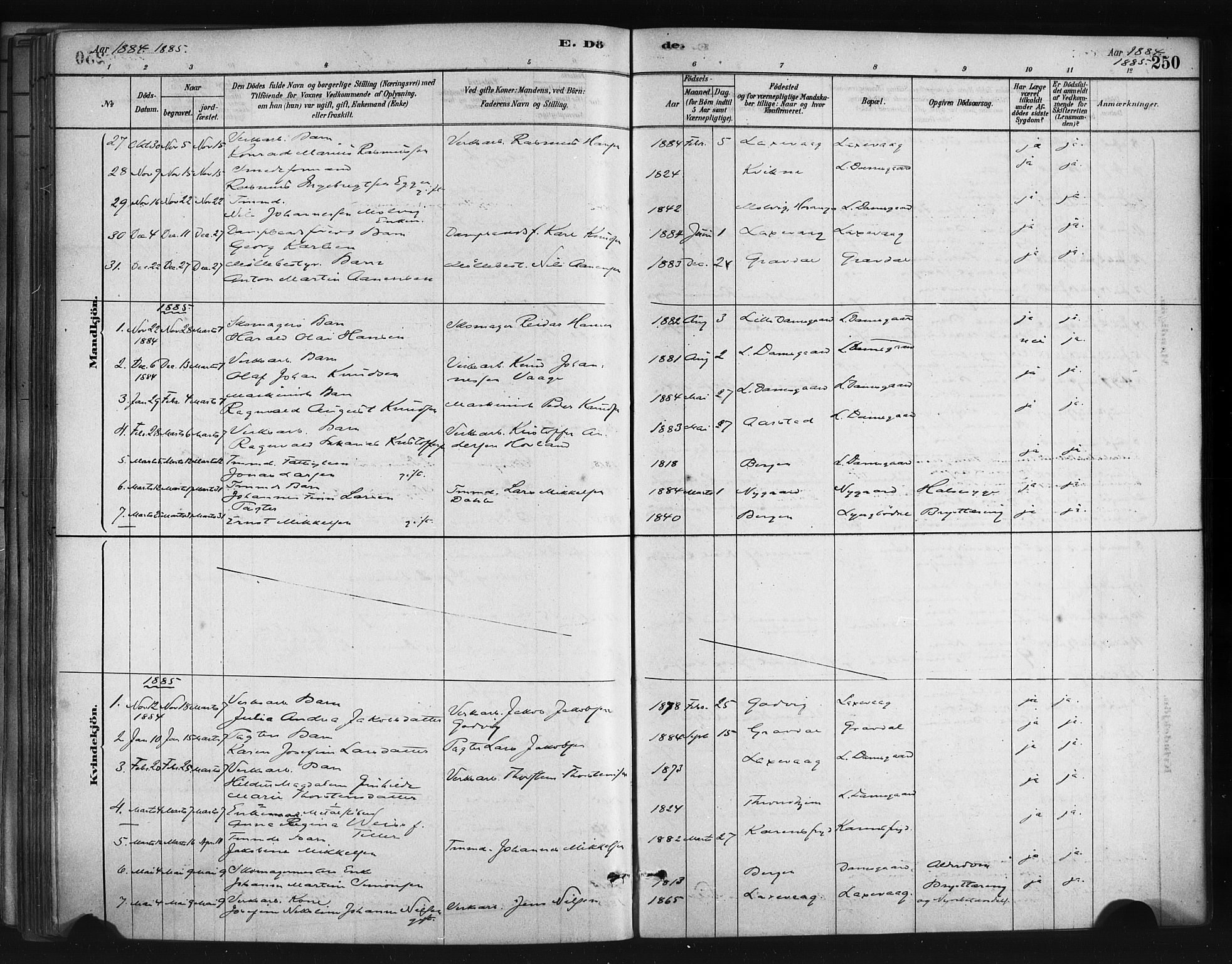 Askøy Sokneprestembete, SAB/A-74101/H/Ha/Haa/Haae/L0002: Parish register (official) no. E 2, 1878-1891, p. 250