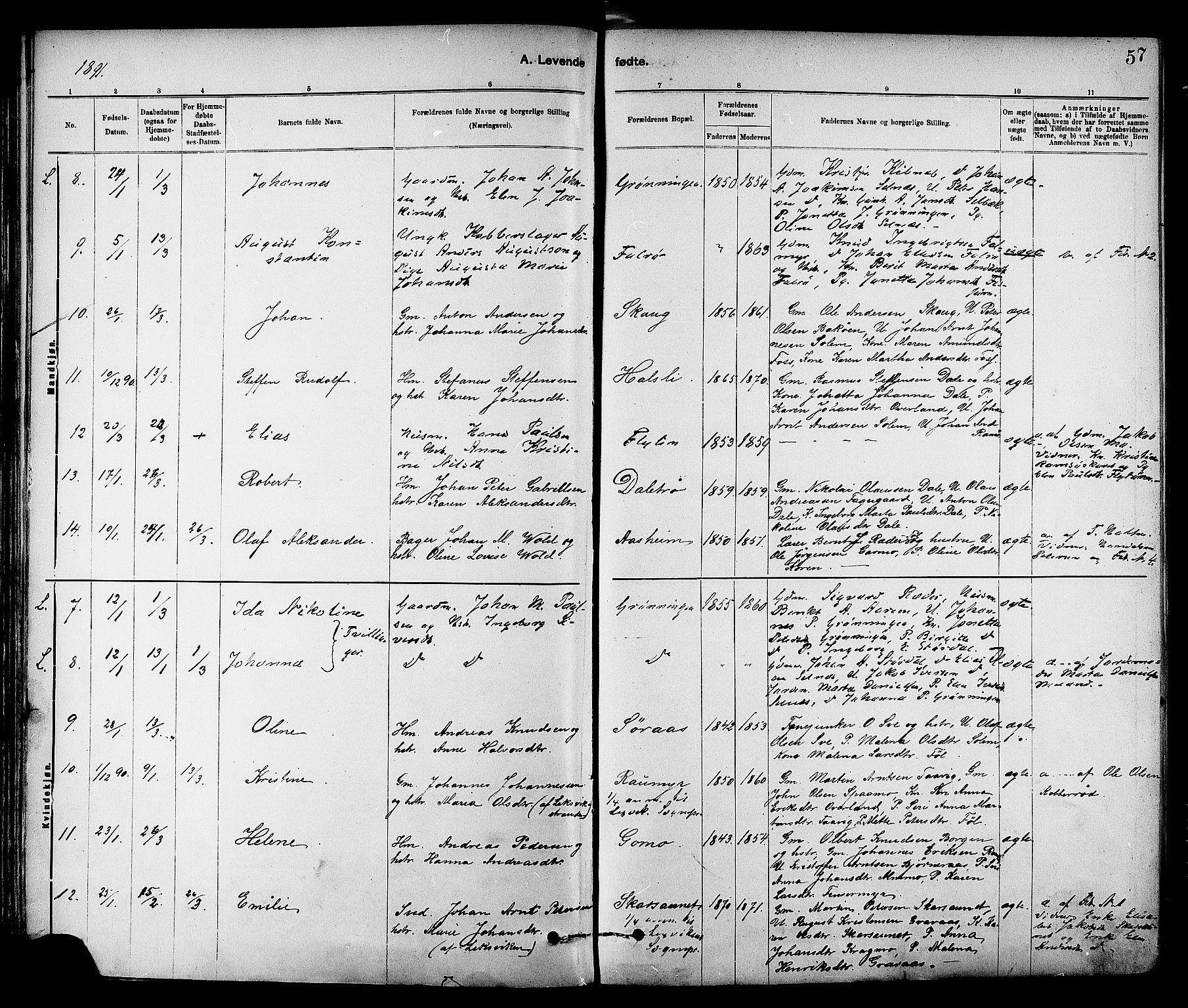 Ministerialprotokoller, klokkerbøker og fødselsregistre - Sør-Trøndelag, SAT/A-1456/647/L0634: Parish register (official) no. 647A01, 1885-1896, p. 57