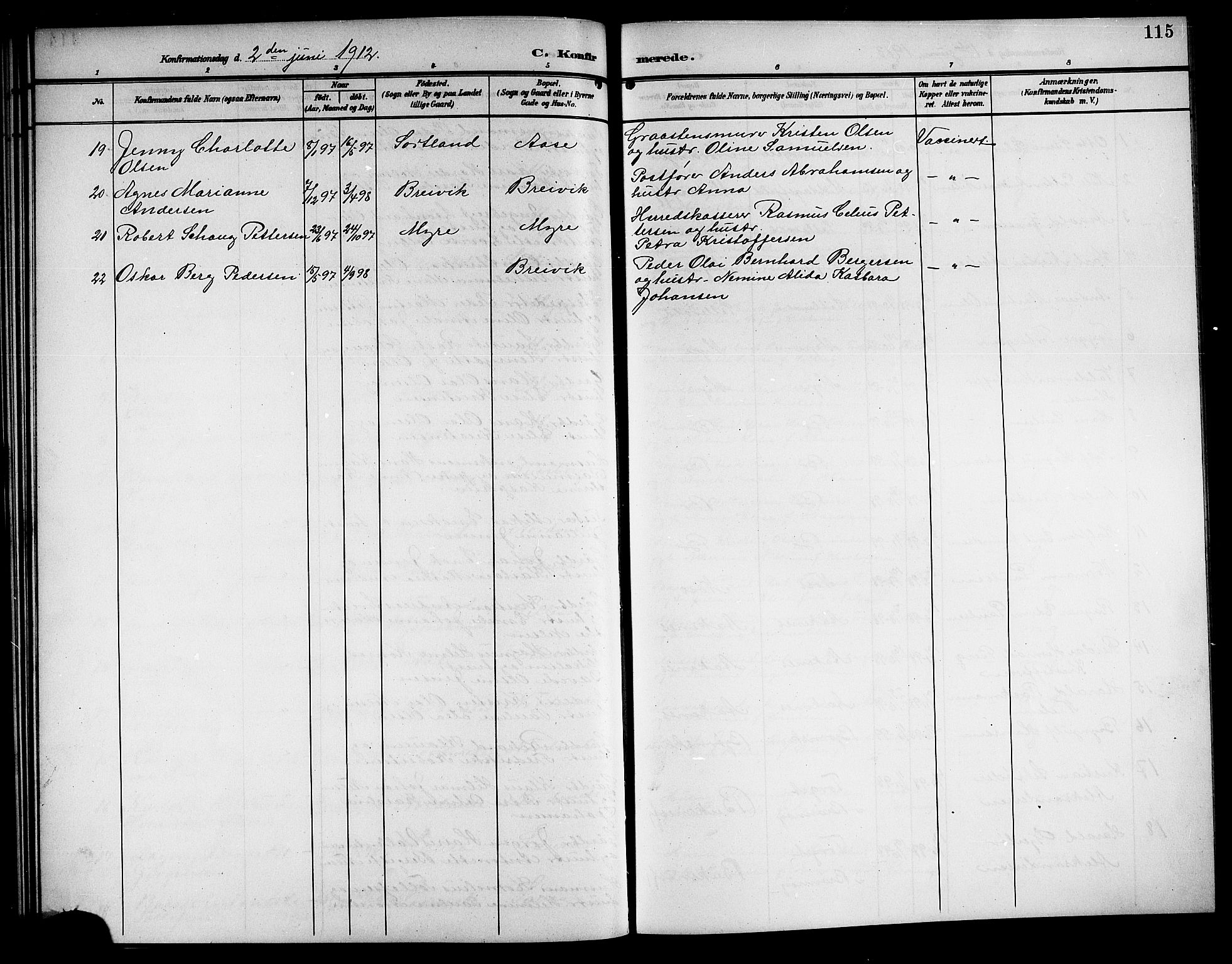 Ministerialprotokoller, klokkerbøker og fødselsregistre - Nordland, AV/SAT-A-1459/897/L1414: Parish register (copy) no. 897C04, 1904-1915, p. 115