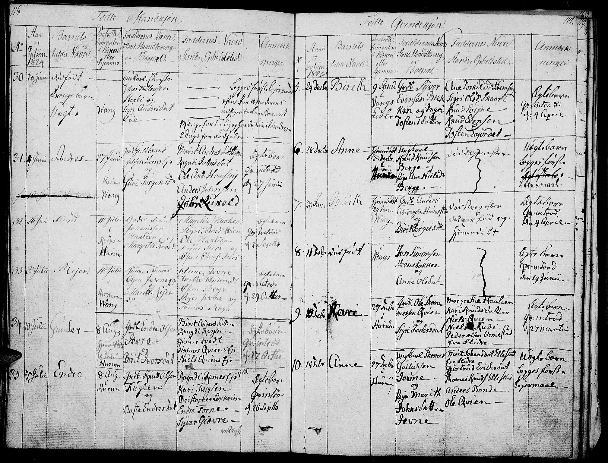 Vang prestekontor, Valdres, SAH/PREST-140/H/Ha/L0003: Parish register (official) no. 3, 1809-1831, p. 116-117