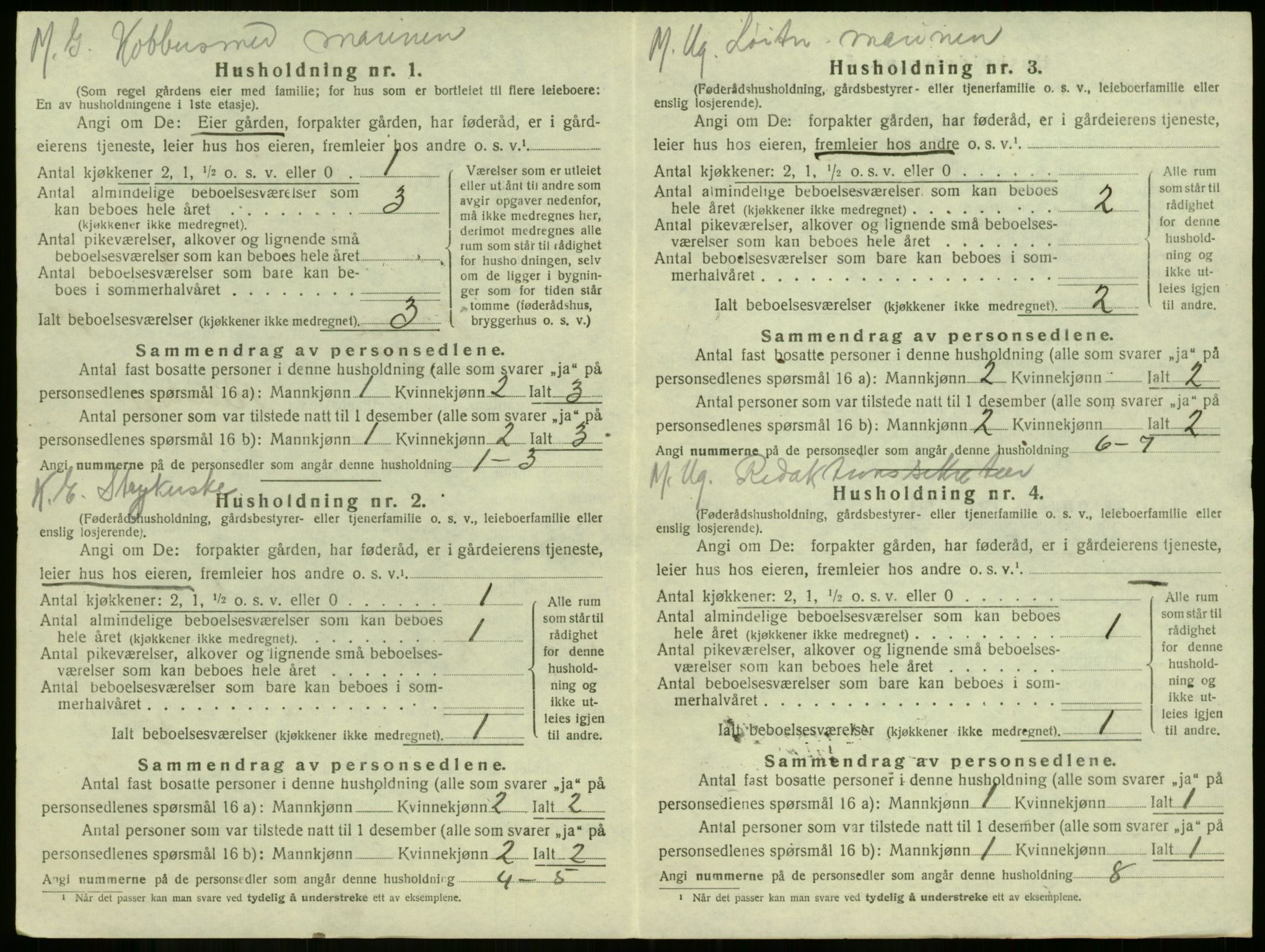 SAKO, 1920 census for Borre, 1920, p. 47