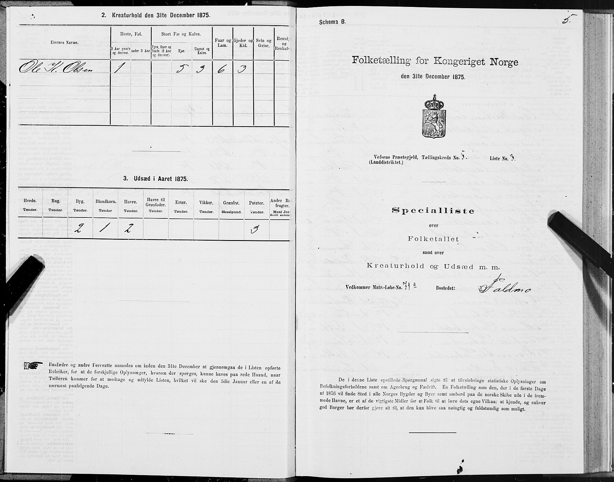 SAT, 1875 census for 1824L Vefsn/Vefsn, 1875, p. 2005