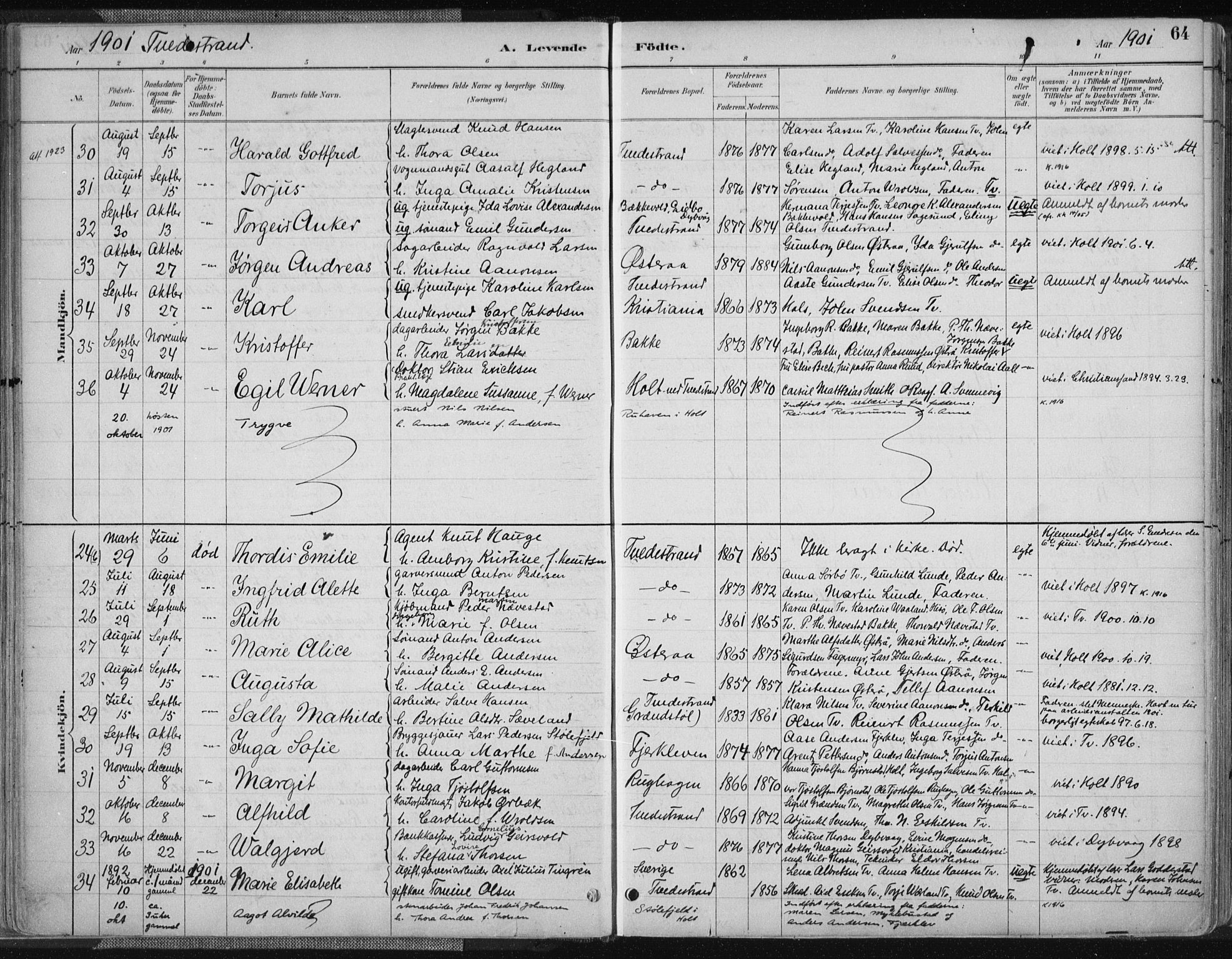 Tvedestrand sokneprestkontor, SAK/1111-0042/F/Fa/L0001: Parish register (official) no. A 1, 1885-1916, p. 64