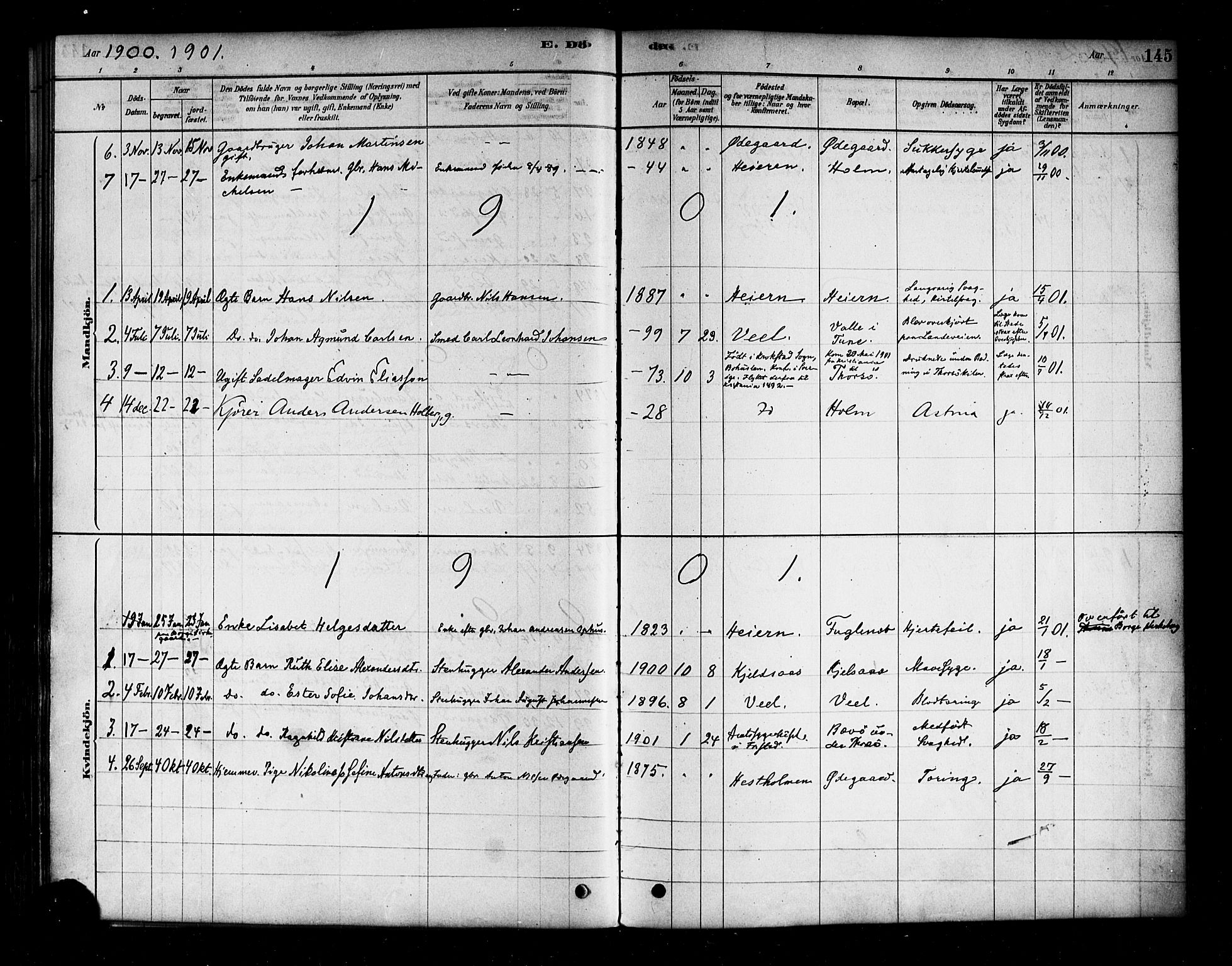 Borge prestekontor Kirkebøker, AV/SAO-A-10903/F/Fb/L0003: Parish register (official) no. II 3, 1878-1902, p. 145