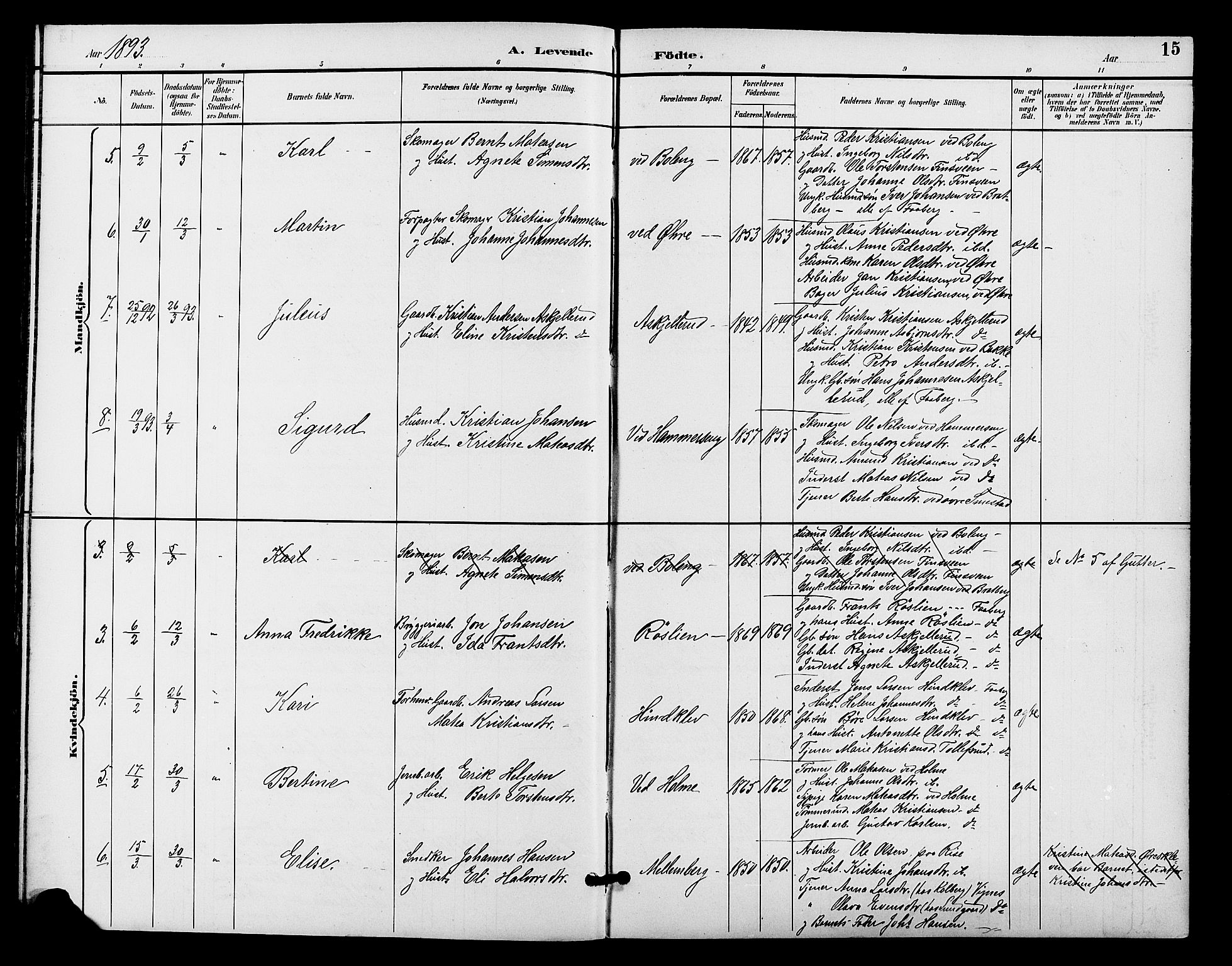 Fåberg prestekontor, AV/SAH-PREST-086/H/Ha/Hab/L0009: Parish register (copy) no. 9, 1891-1902, p. 15