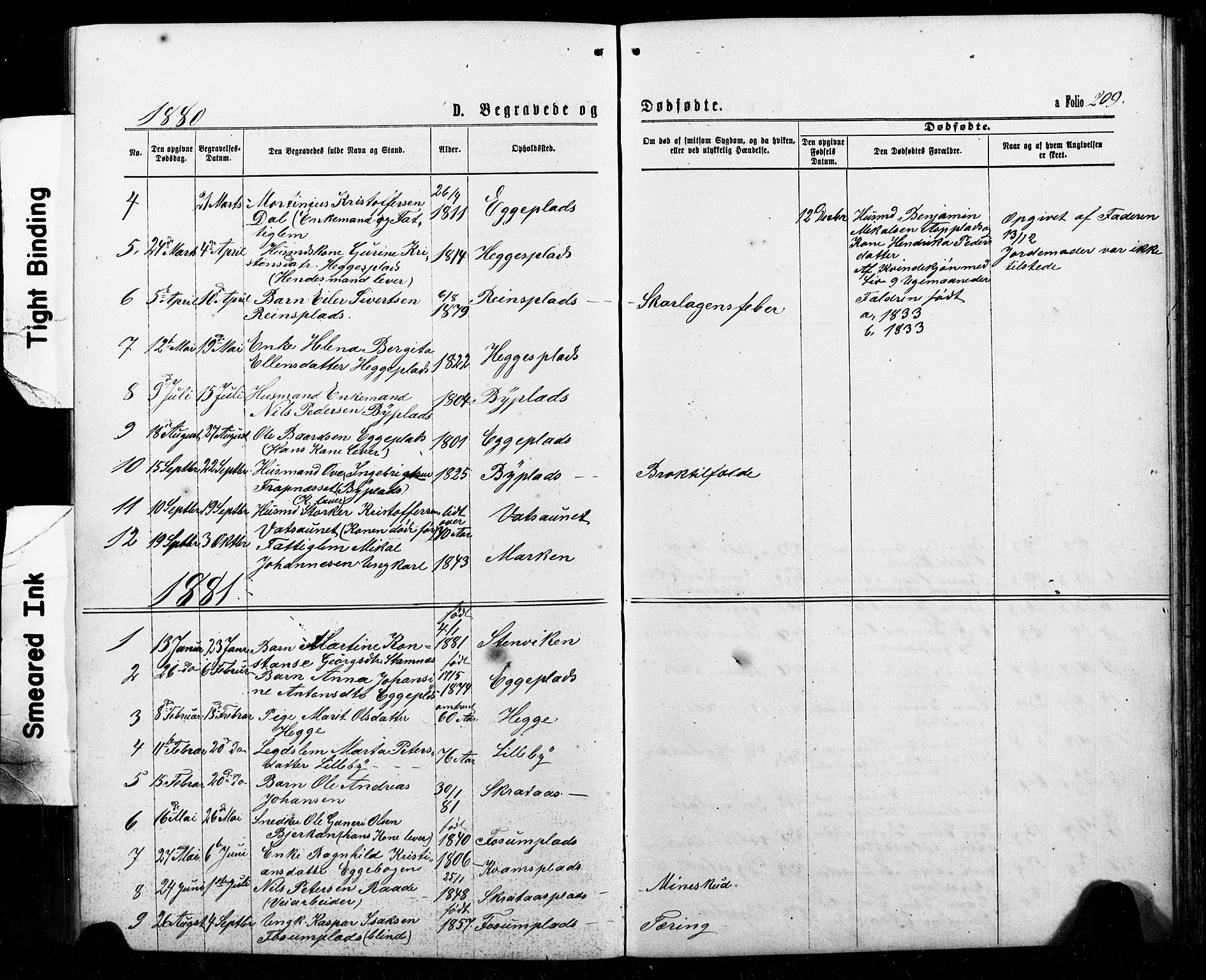 Ministerialprotokoller, klokkerbøker og fødselsregistre - Nord-Trøndelag, SAT/A-1458/740/L0380: Parish register (copy) no. 740C01, 1868-1902, p. 209