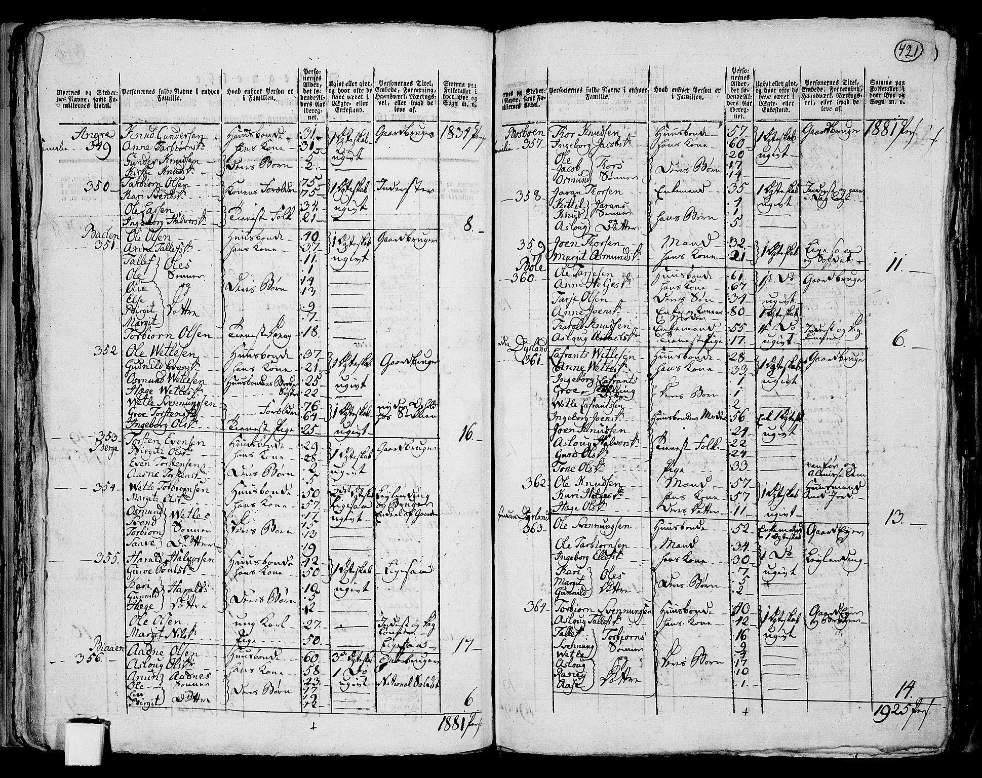 RA, 1801 census for 0828P Seljord, 1801, p. 420b-421a