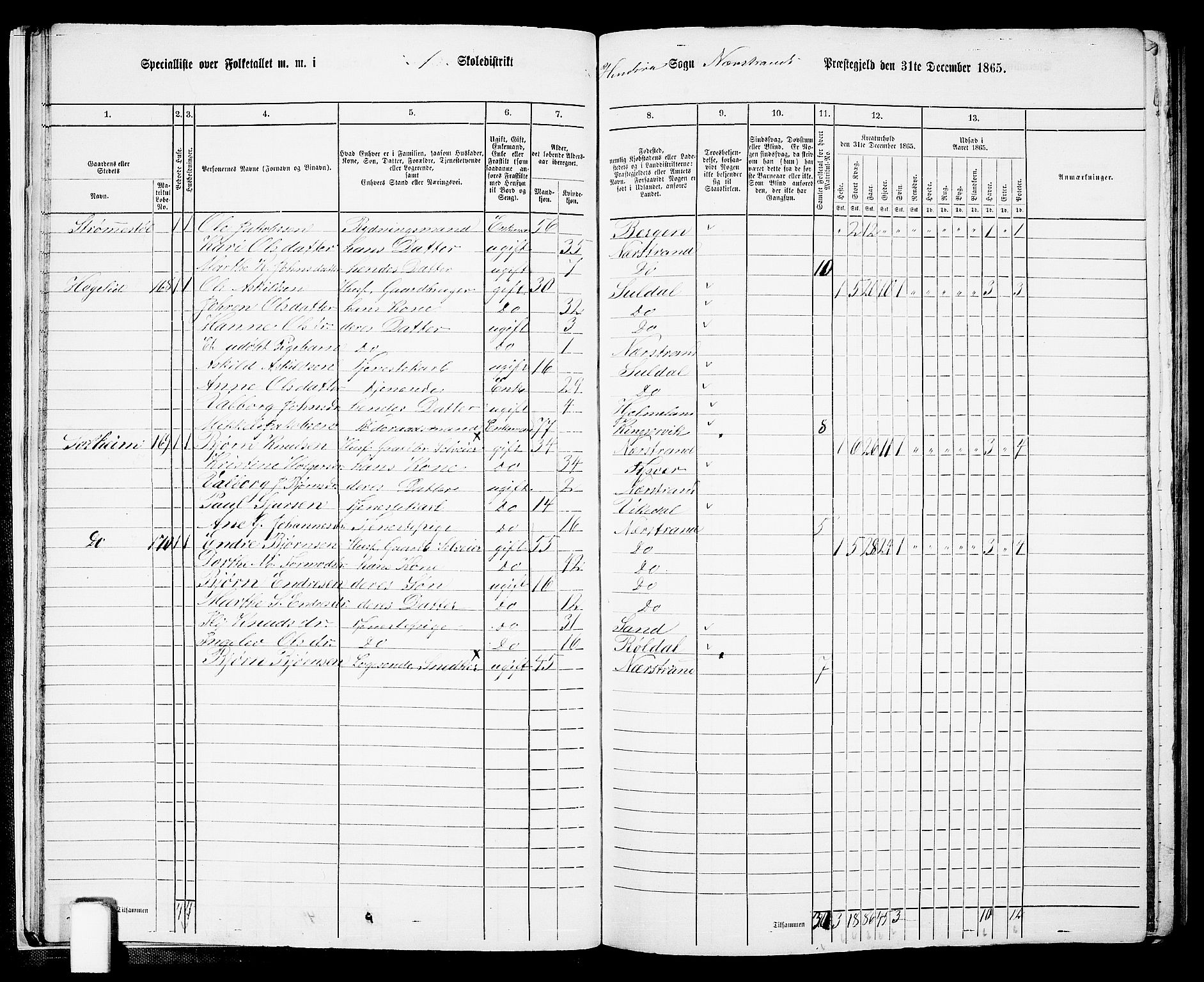 RA, 1865 census for Nedstrand, 1865, p. 22