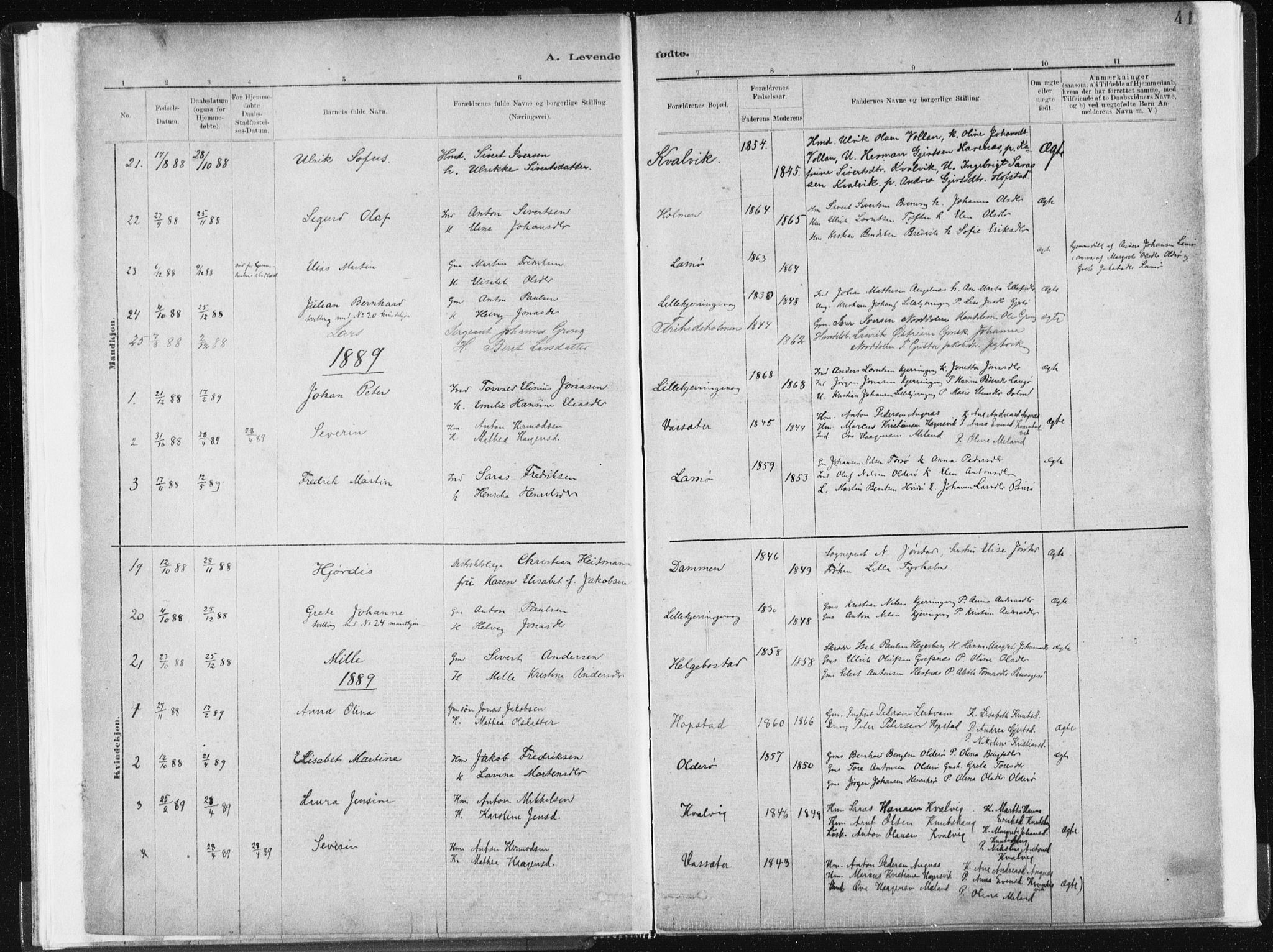 Ministerialprotokoller, klokkerbøker og fødselsregistre - Sør-Trøndelag, SAT/A-1456/634/L0533: Parish register (official) no. 634A09, 1882-1901, p. 41