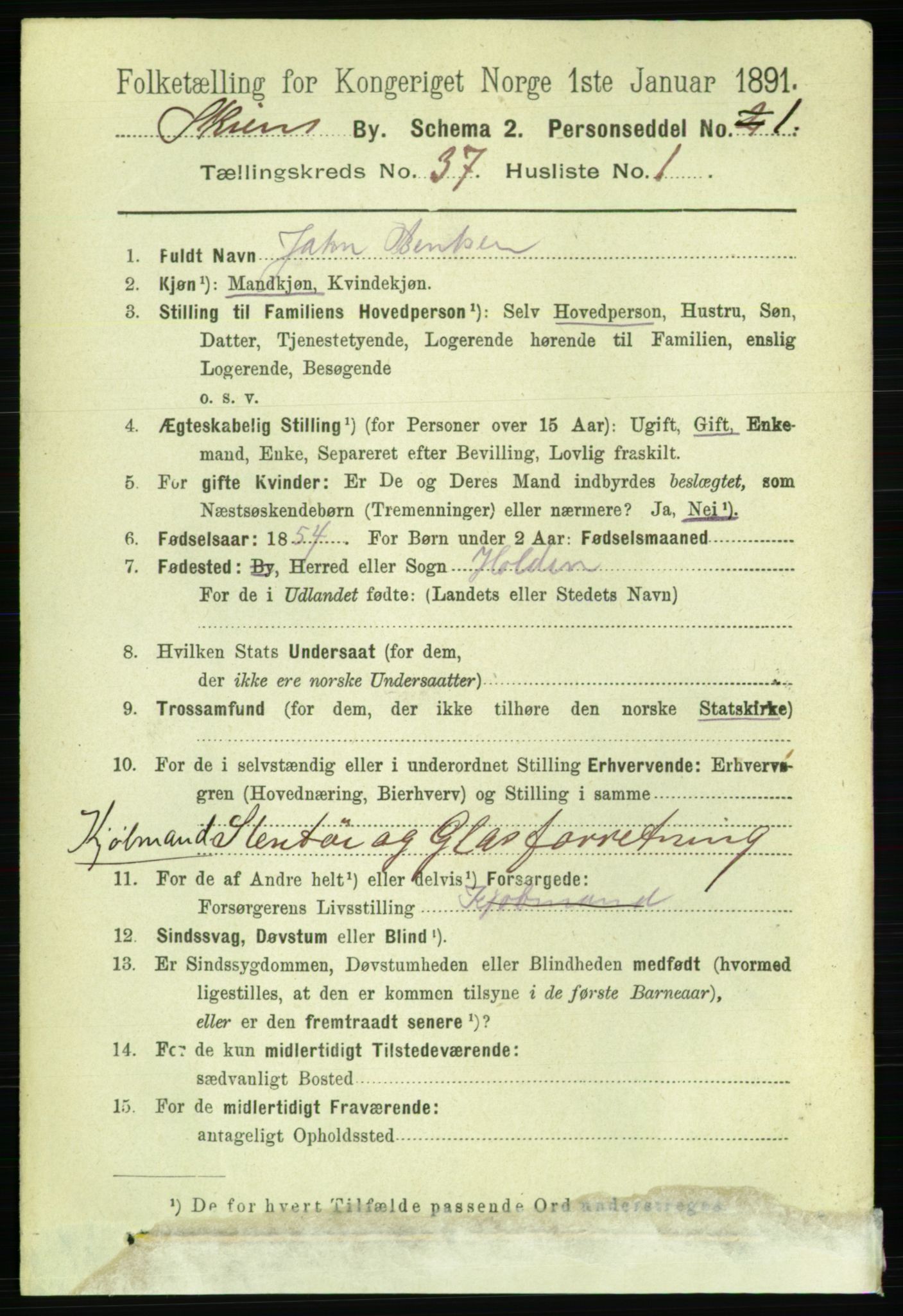 RA, 1891 census for 0806 Skien, 1891, p. 8066