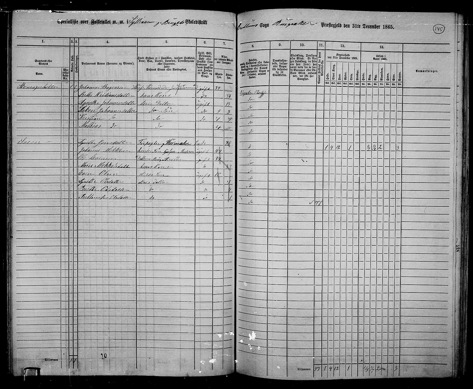 RA, 1865 census for Ringsaker, 1865, p. 388