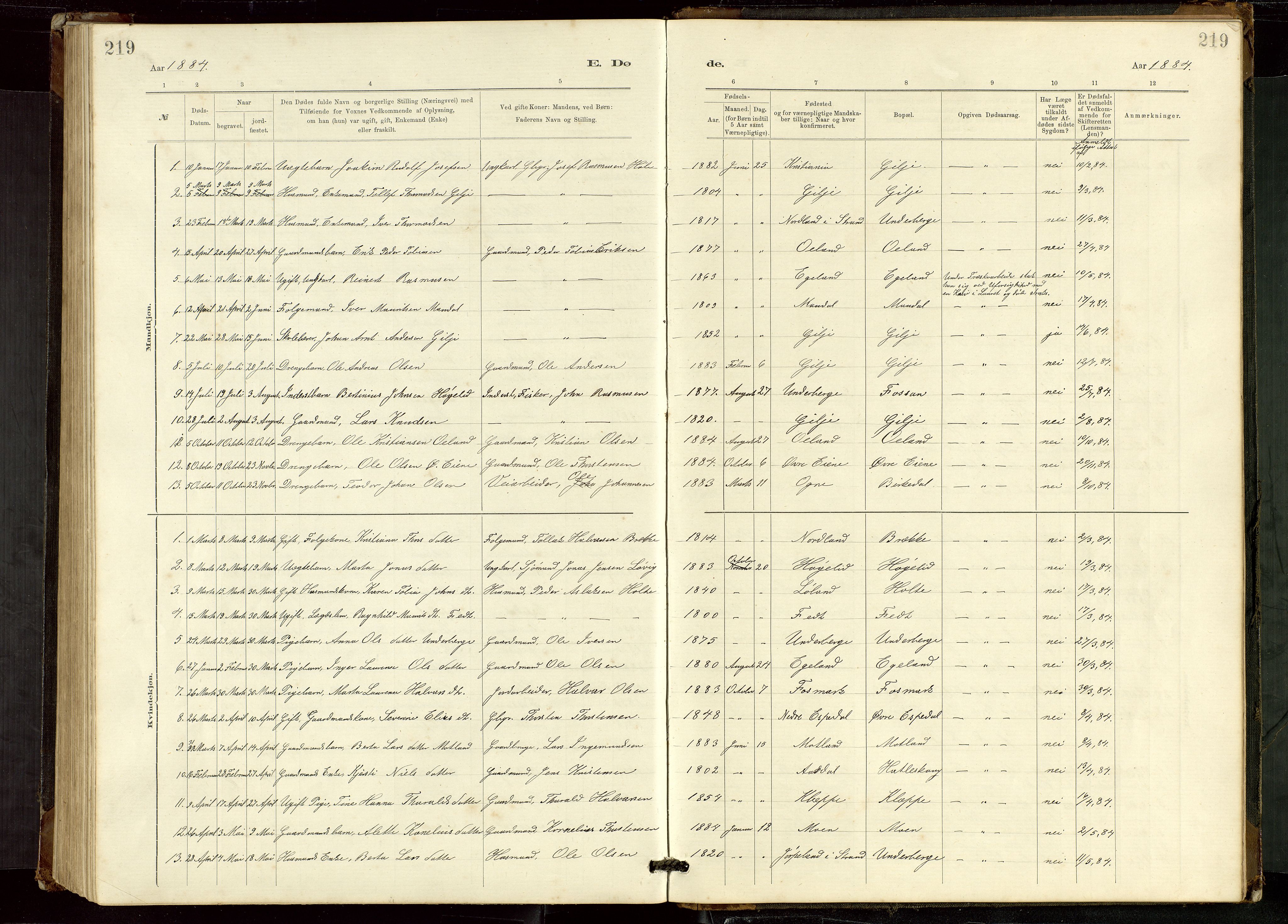 Høgsfjord sokneprestkontor, AV/SAST-A-101624/H/Ha/Hab/L0009: Parish register (copy) no. B 9, 1883-1920, p. 219