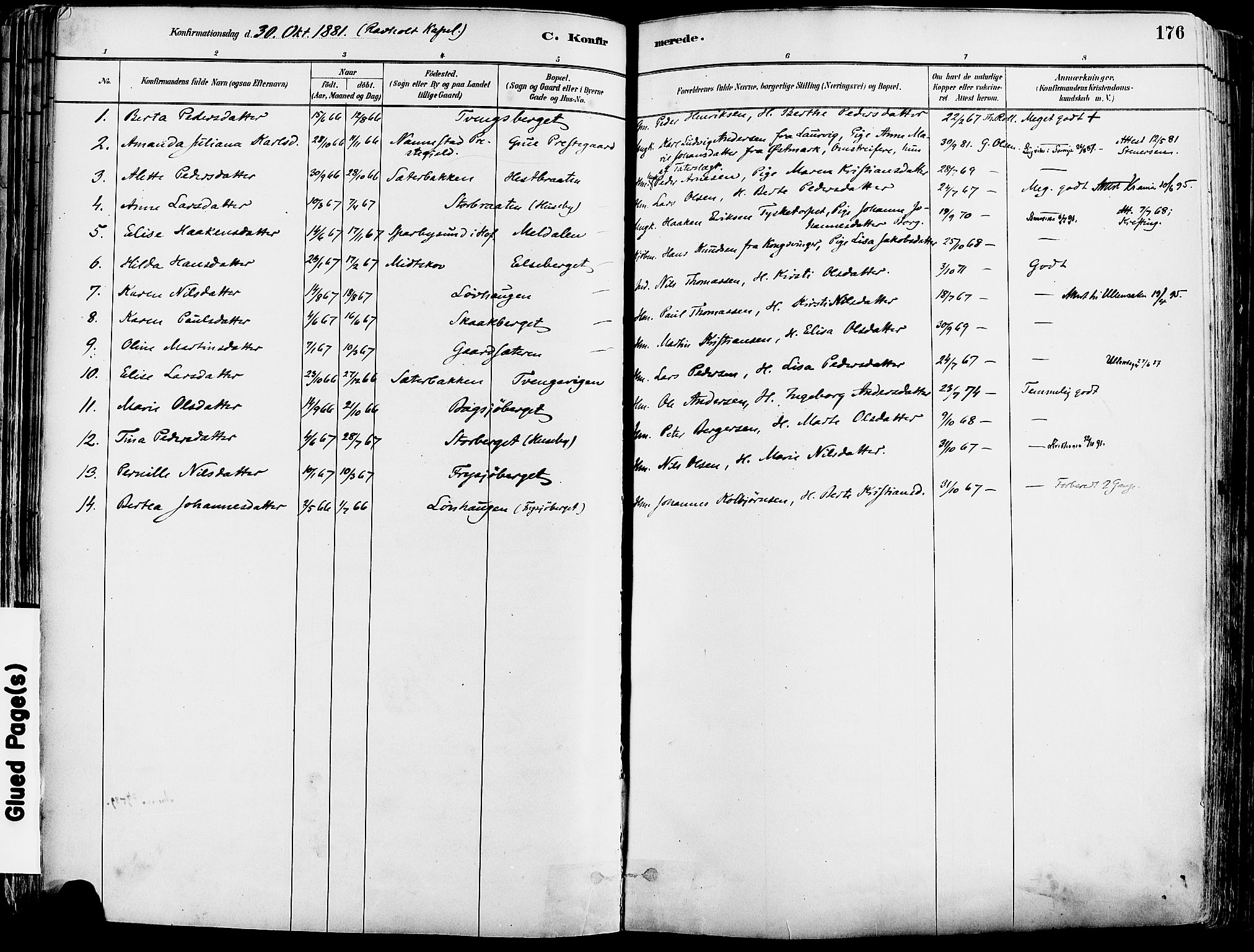 Grue prestekontor, SAH/PREST-036/H/Ha/Haa/L0012: Parish register (official) no. 12, 1881-1897, p. 176