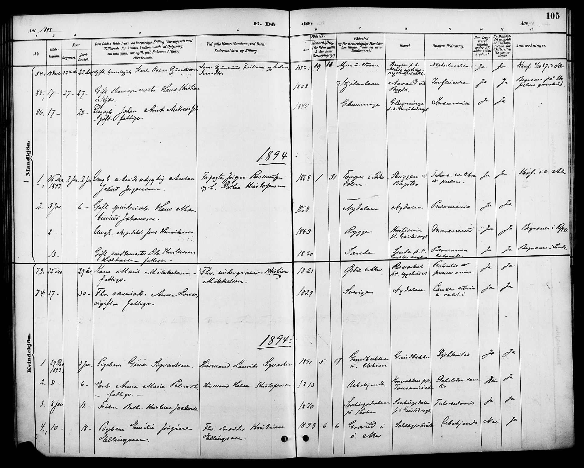 Vestre Aker prestekontor Kirkebøker, SAO/A-10025/F/Fa/L0011: Parish register (official) no. 11, 1886-1904, p. 105