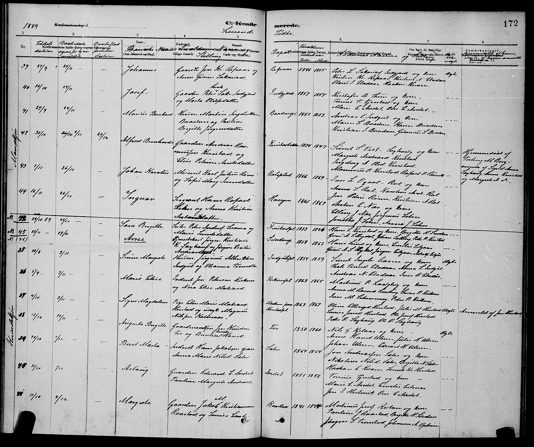 Ministerialprotokoller, klokkerbøker og fødselsregistre - Nord-Trøndelag, AV/SAT-A-1458/730/L0301: Parish register (copy) no. 730C04, 1880-1897, p. 172