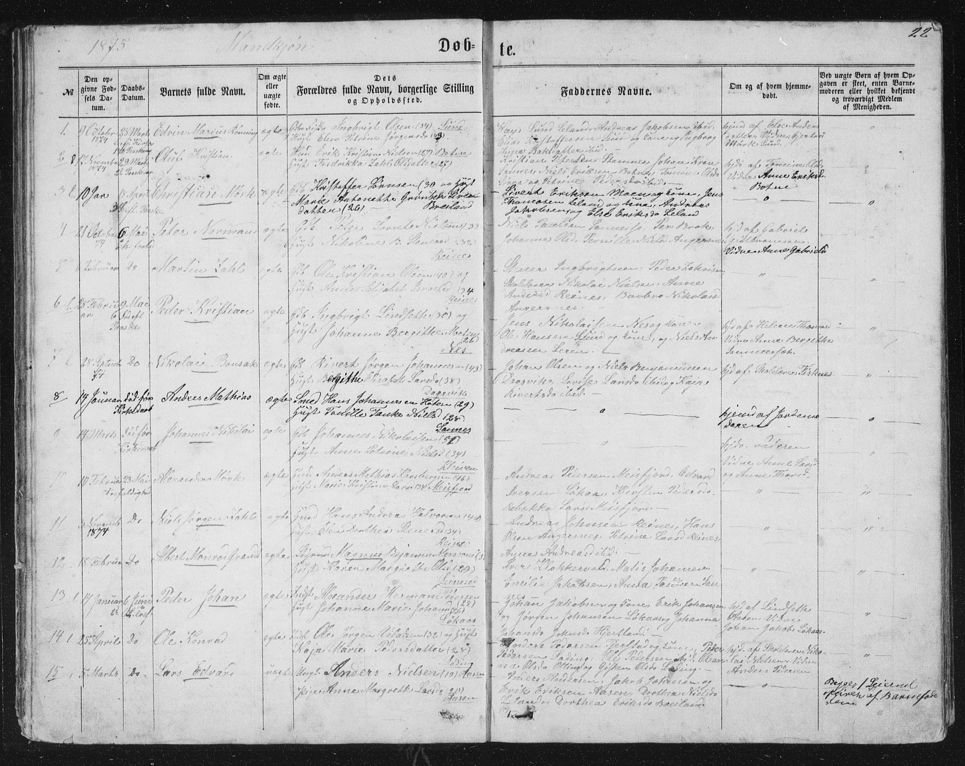 Ministerialprotokoller, klokkerbøker og fødselsregistre - Nordland, AV/SAT-A-1459/831/L0476: Parish register (copy) no. 831C03, 1866-1877, p. 22