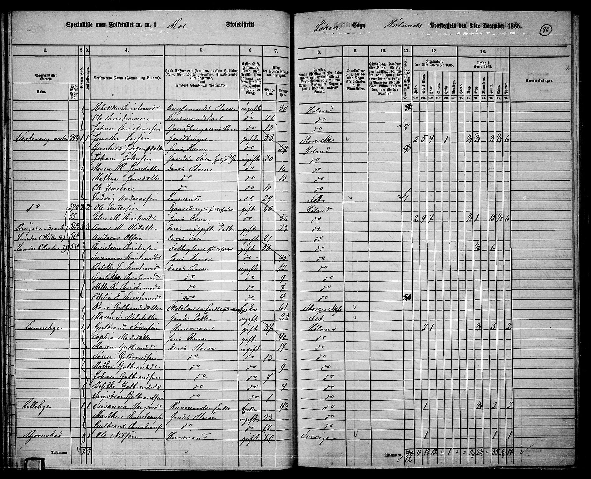 RA, 1865 census for Høland, 1865, p. 78