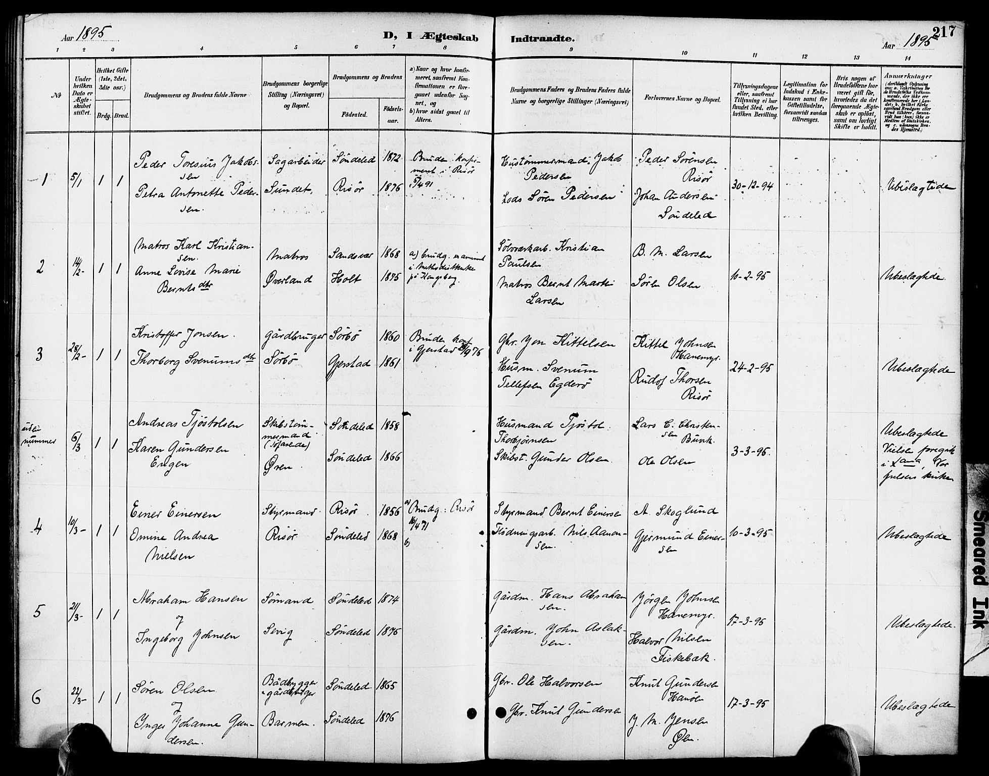 Søndeled sokneprestkontor, SAK/1111-0038/F/Fa/L0005: Parish register (official) no. A 5, 1889-1899, p. 217