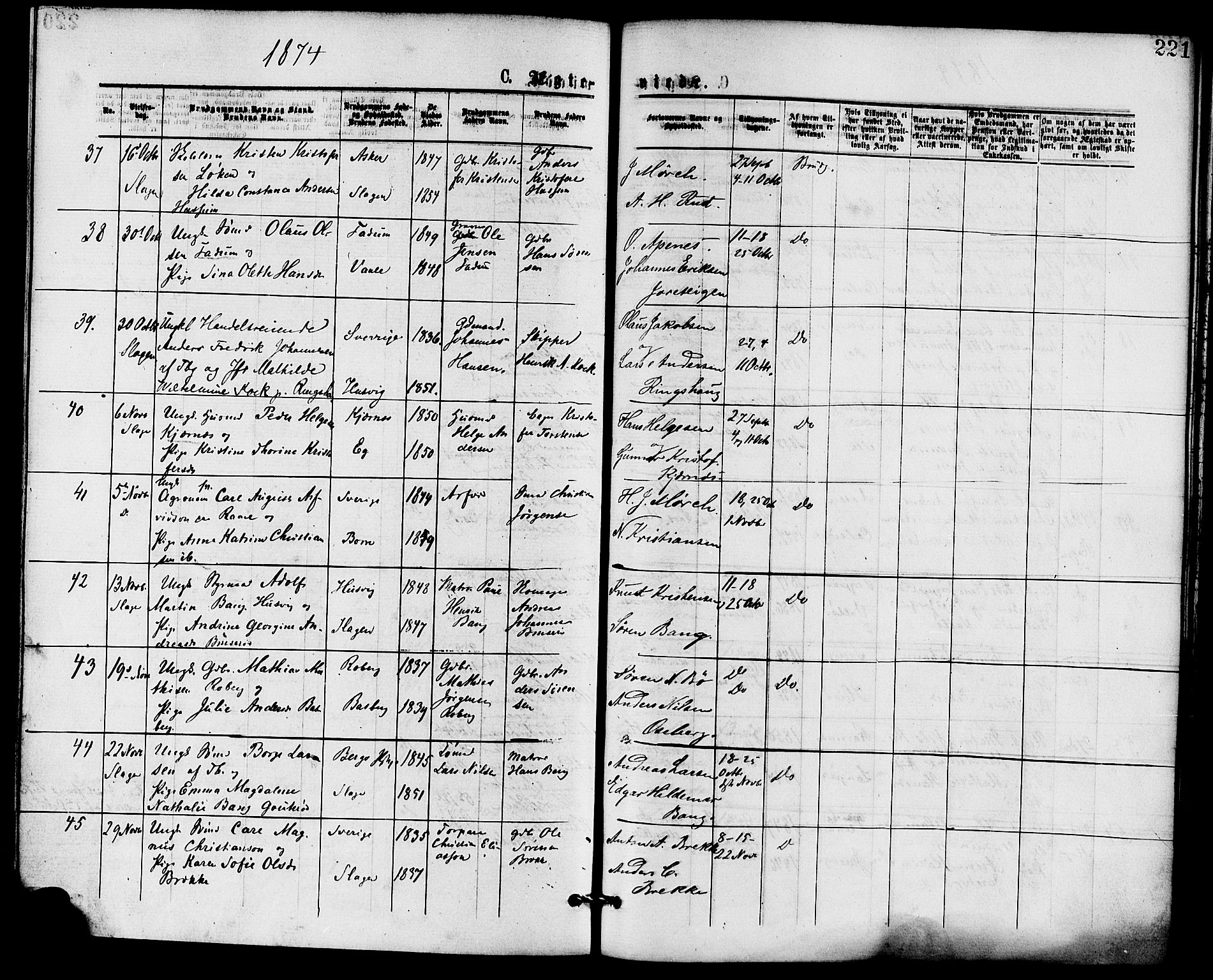 Sem kirkebøker, SAKO/A-5/F/Fa/L0009: Parish register (official) no. I 9, 1874-1877, p. 221