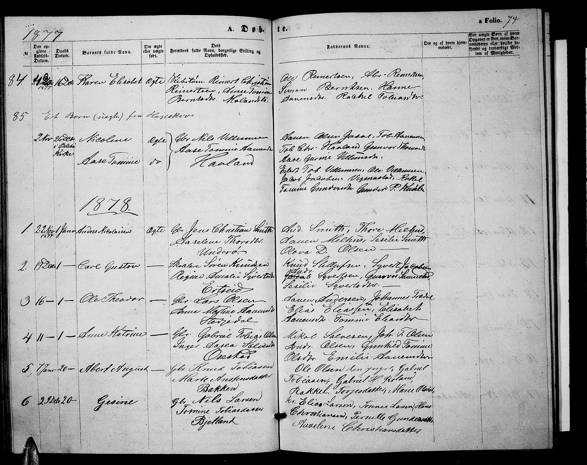 Sør-Audnedal sokneprestkontor, SAK/1111-0039/F/Fb/Fbb/L0004: Parish register (copy) no. B 4, 1868-1879, p. 74