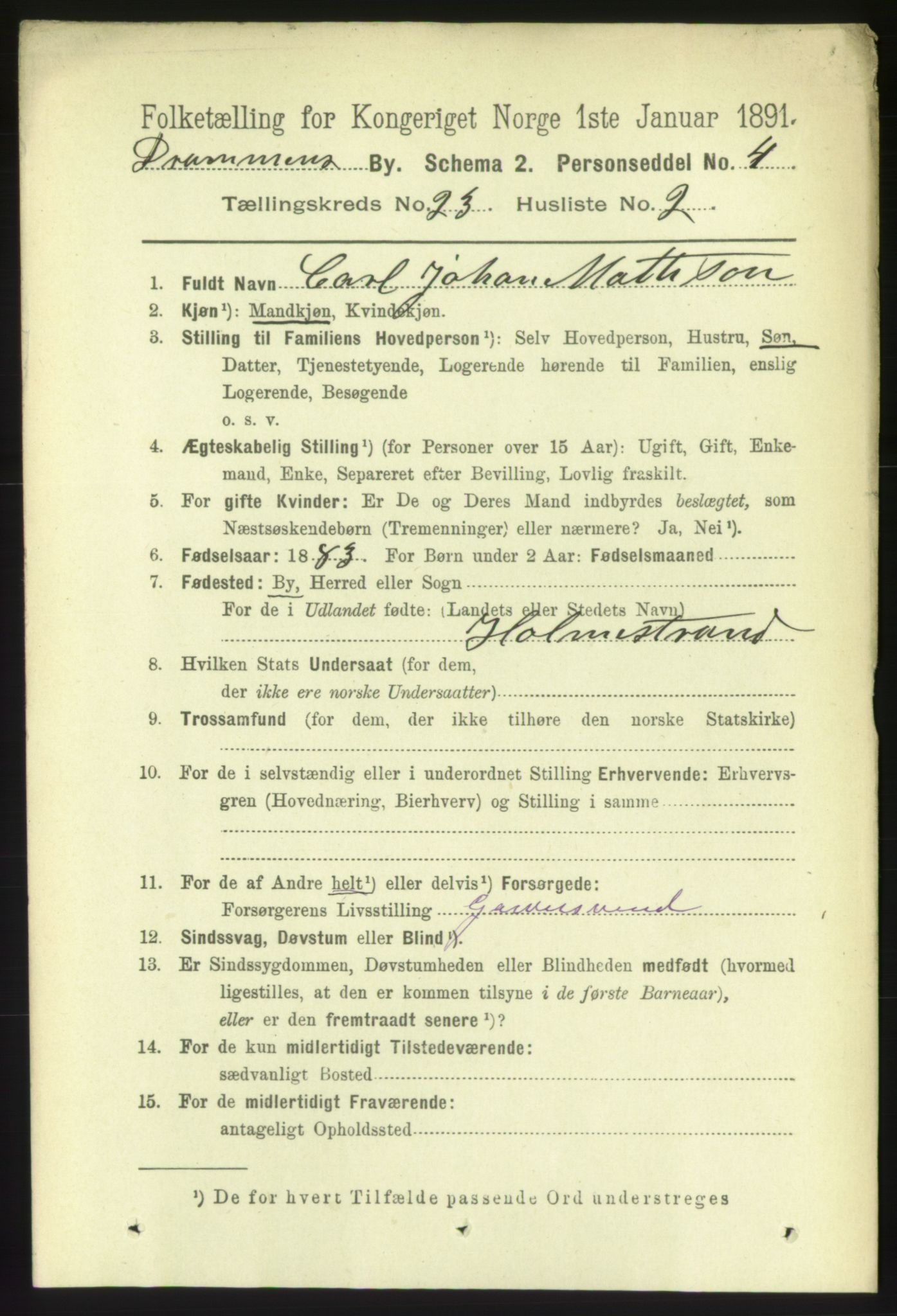 RA, 1891 census for 0602 Drammen, 1891, p. 14064