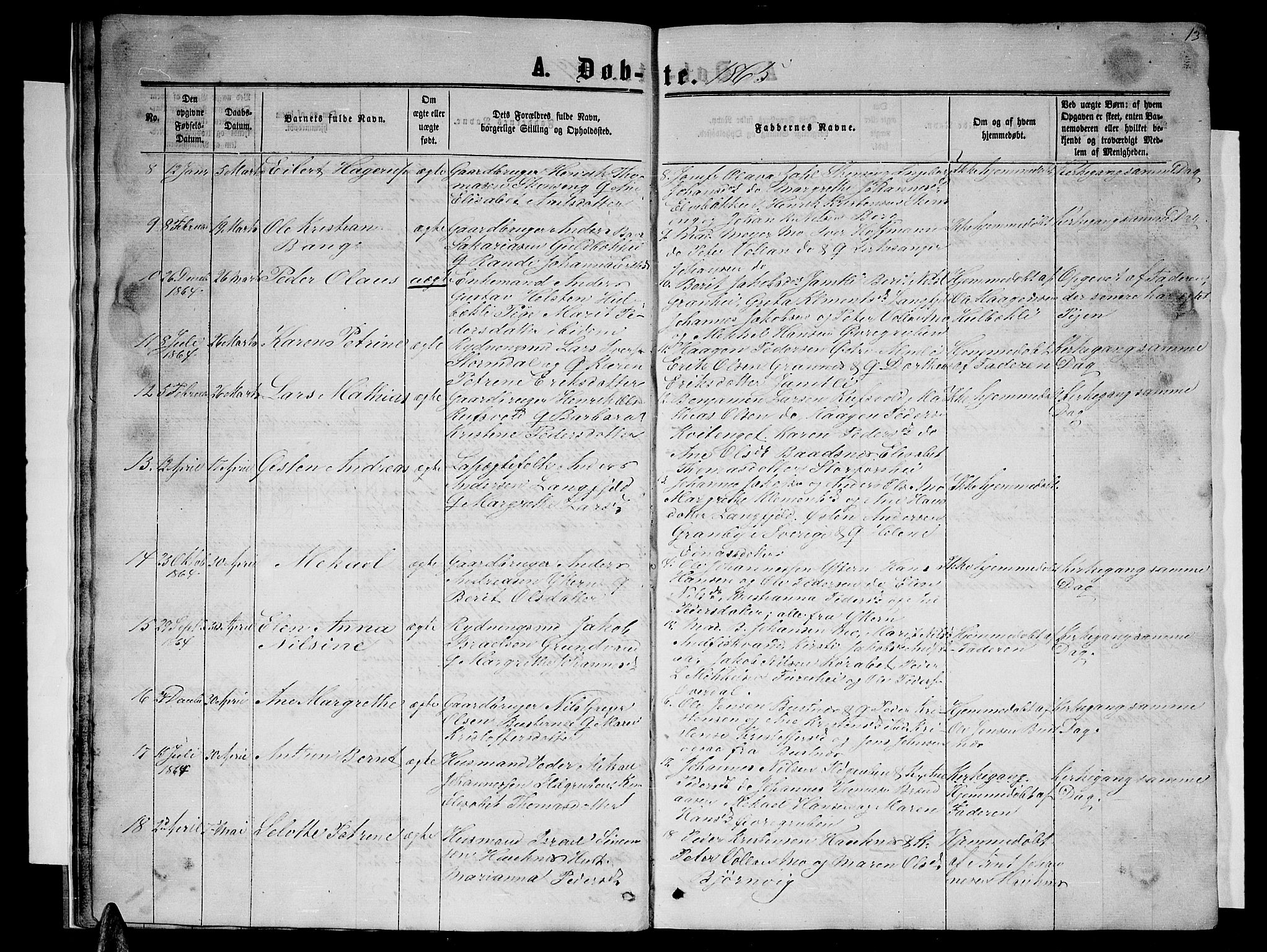 Ministerialprotokoller, klokkerbøker og fødselsregistre - Nordland, SAT/A-1459/827/L0415: Parish register (copy) no. 827C04, 1864-1886, p. 13