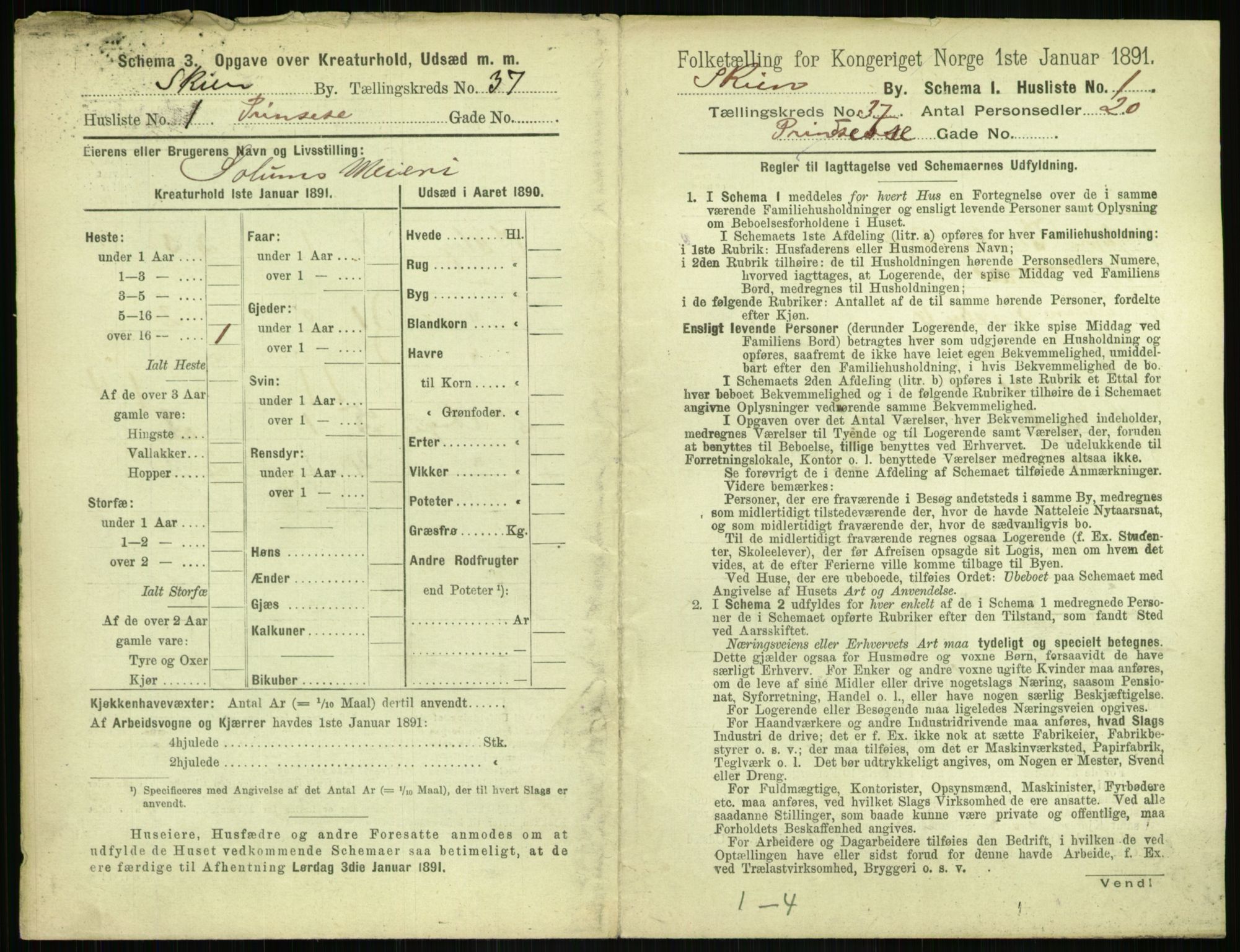 RA, 1891 census for 0806 Skien, 1891, p. 1384