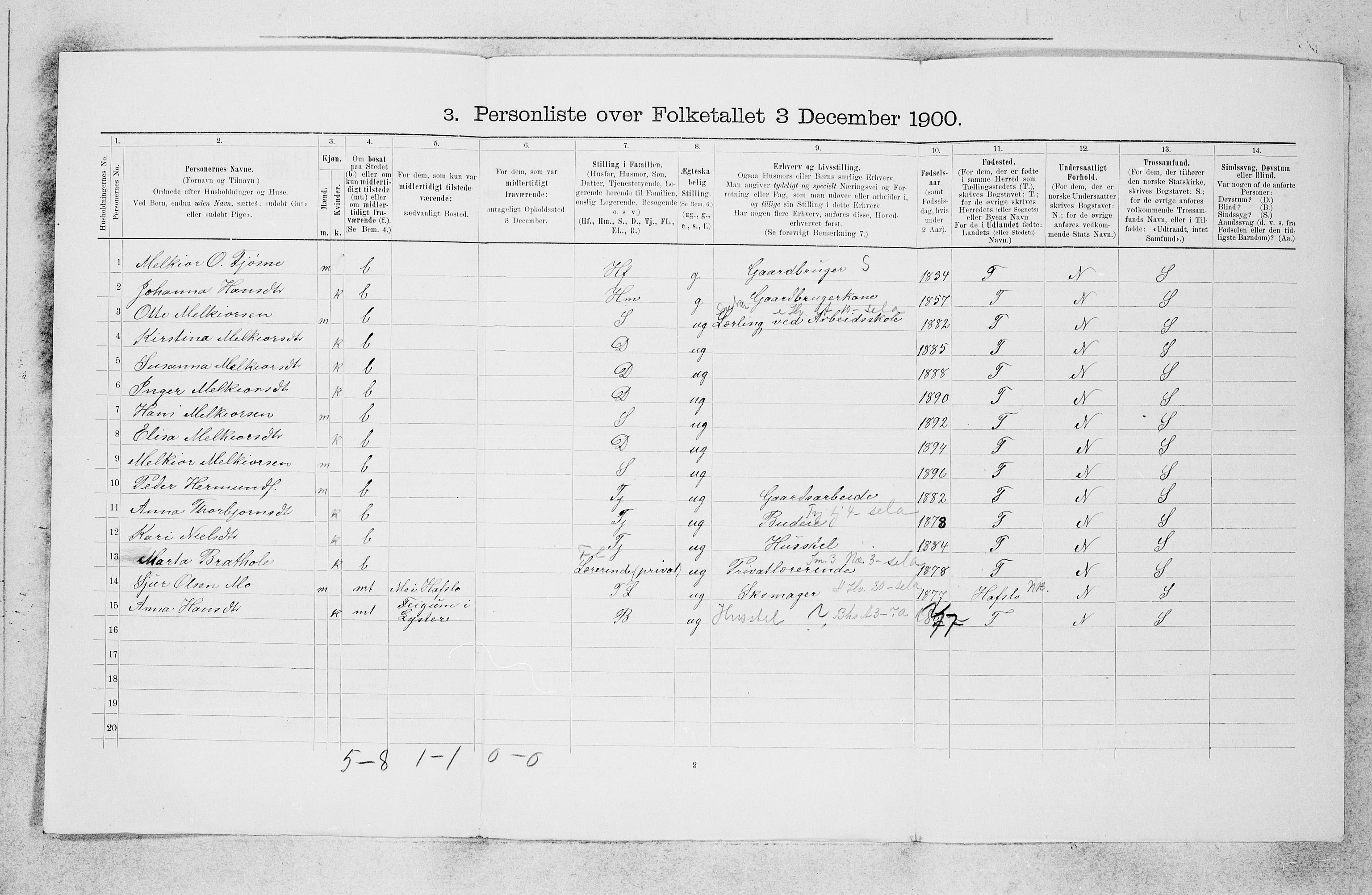 SAB, 1900 census for Luster, 1900, p. 494