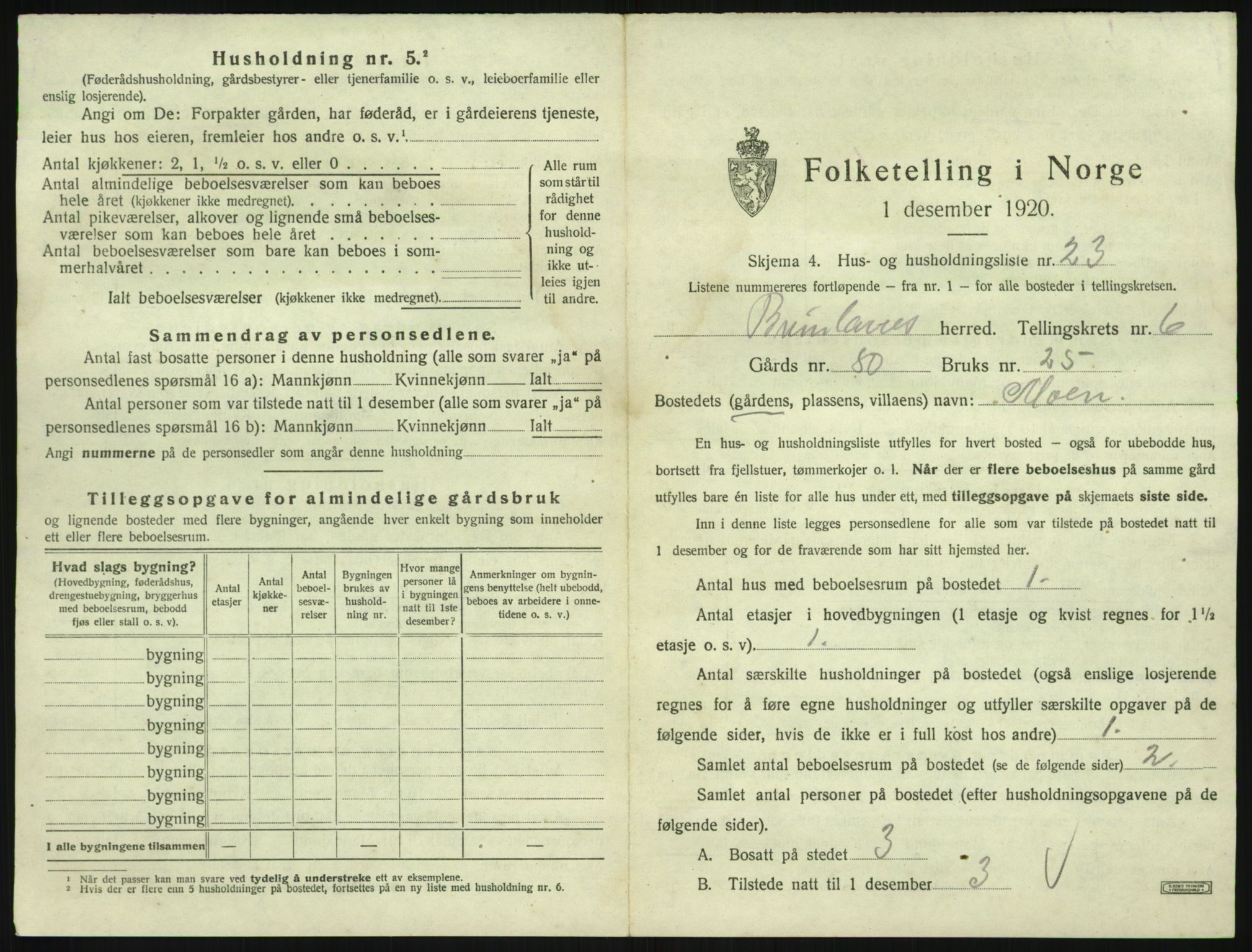SAKO, 1920 census for Brunlanes, 1920, p. 909