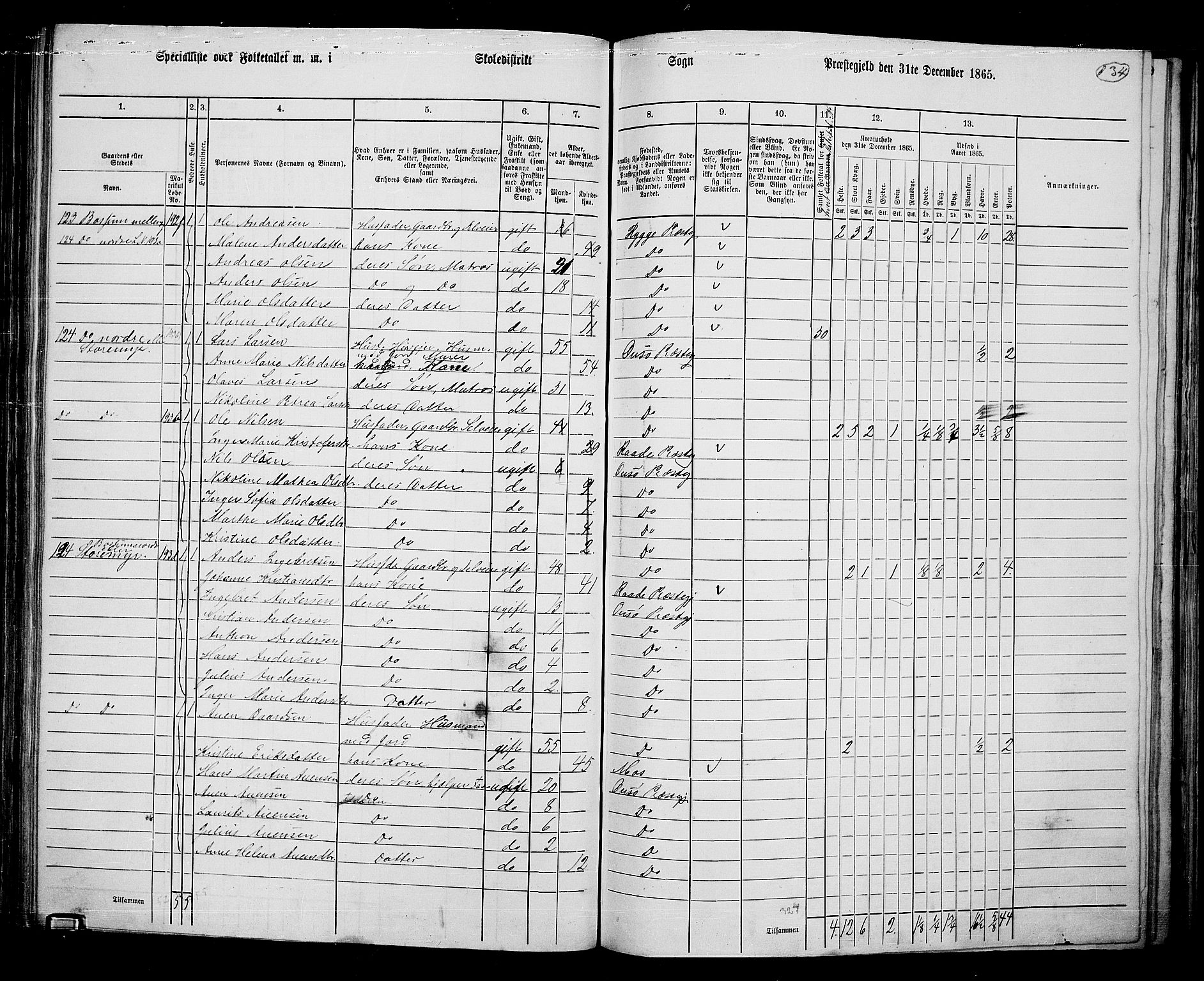 RA, 1865 census for Onsøy, 1865, p. 124
