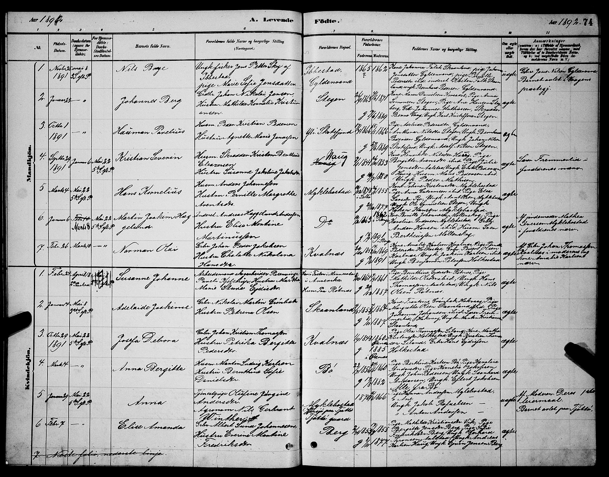 Ministerialprotokoller, klokkerbøker og fødselsregistre - Nordland, AV/SAT-A-1459/855/L0816: Parish register (copy) no. 855C05, 1879-1894, p. 74