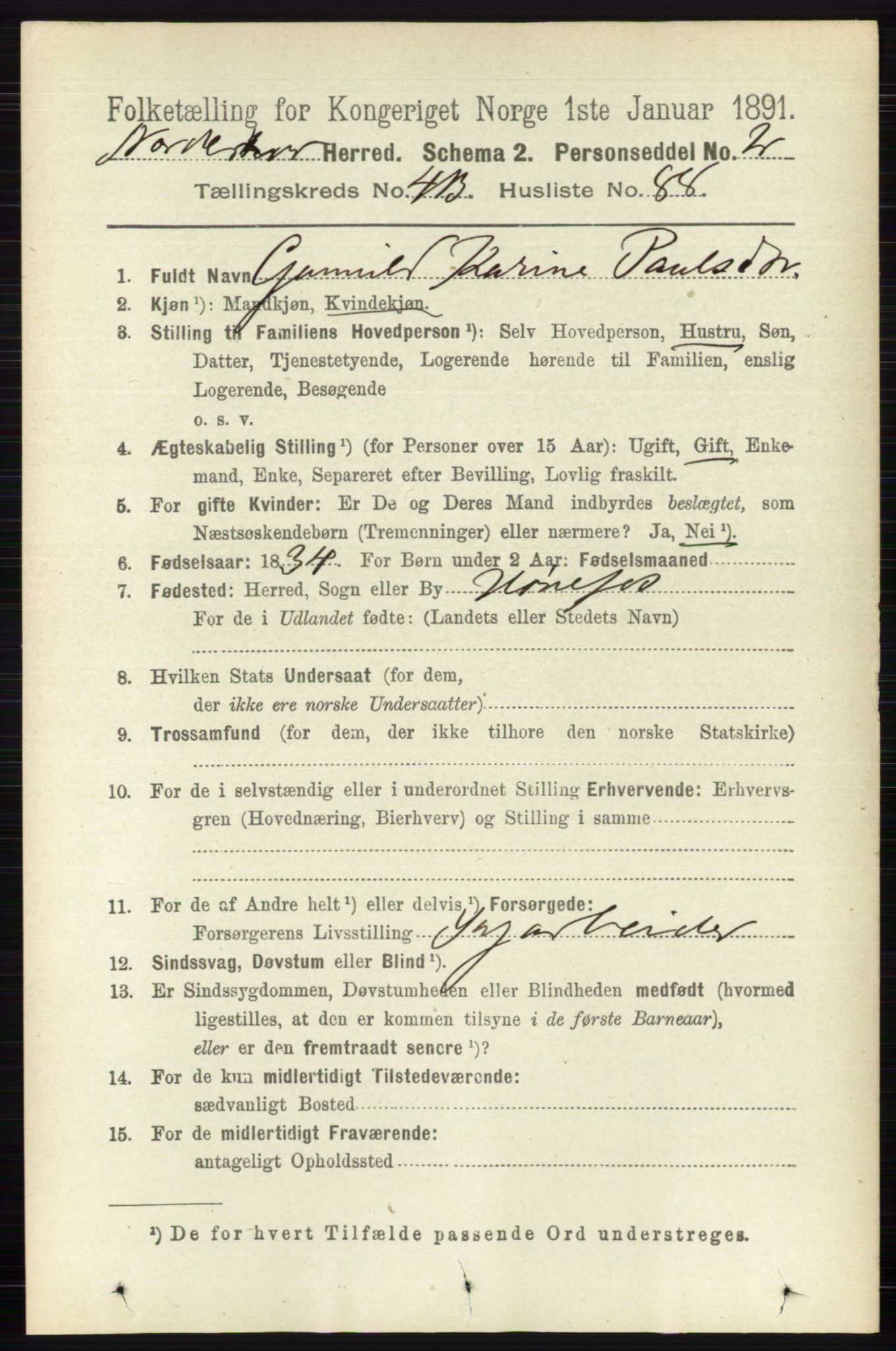 RA, 1891 census for 0613 Norderhov, 1891, p. 2645
