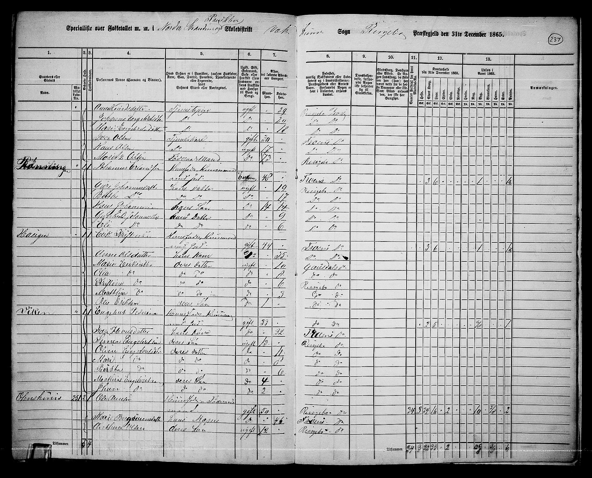 RA, 1865 census for Ringebu, 1865, p. 208