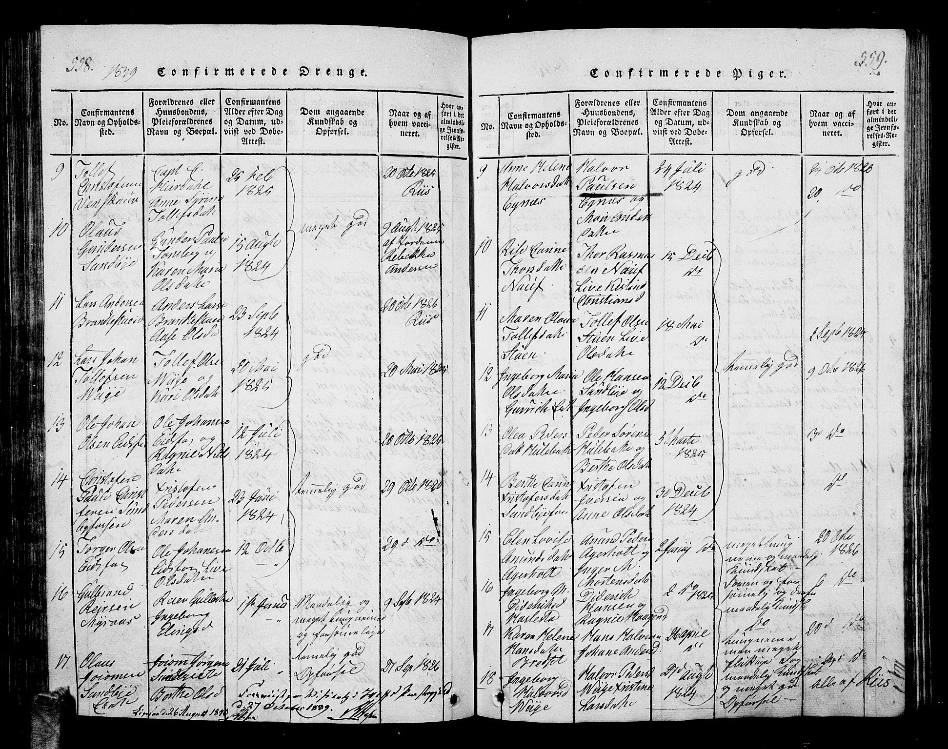 Hof kirkebøker, AV/SAKO-A-64/G/Ga/L0001: Parish register (copy) no. I 1, 1814-1844, p. 558-559