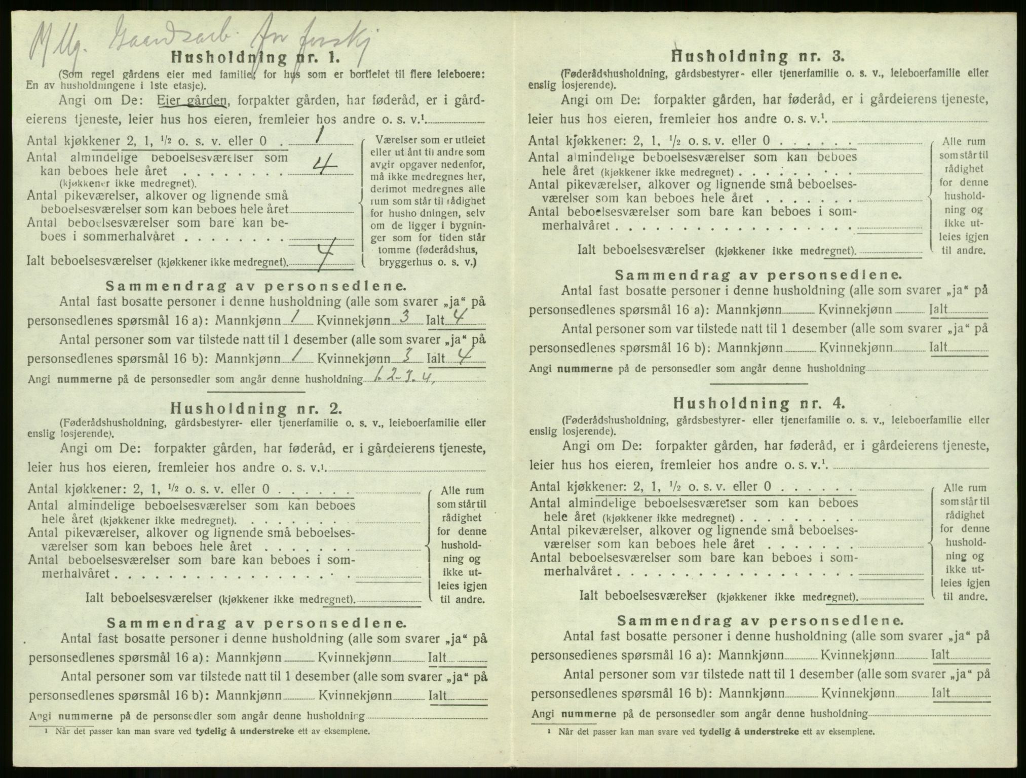 SAKO, 1920 census for Stokke, 1920, p. 1873