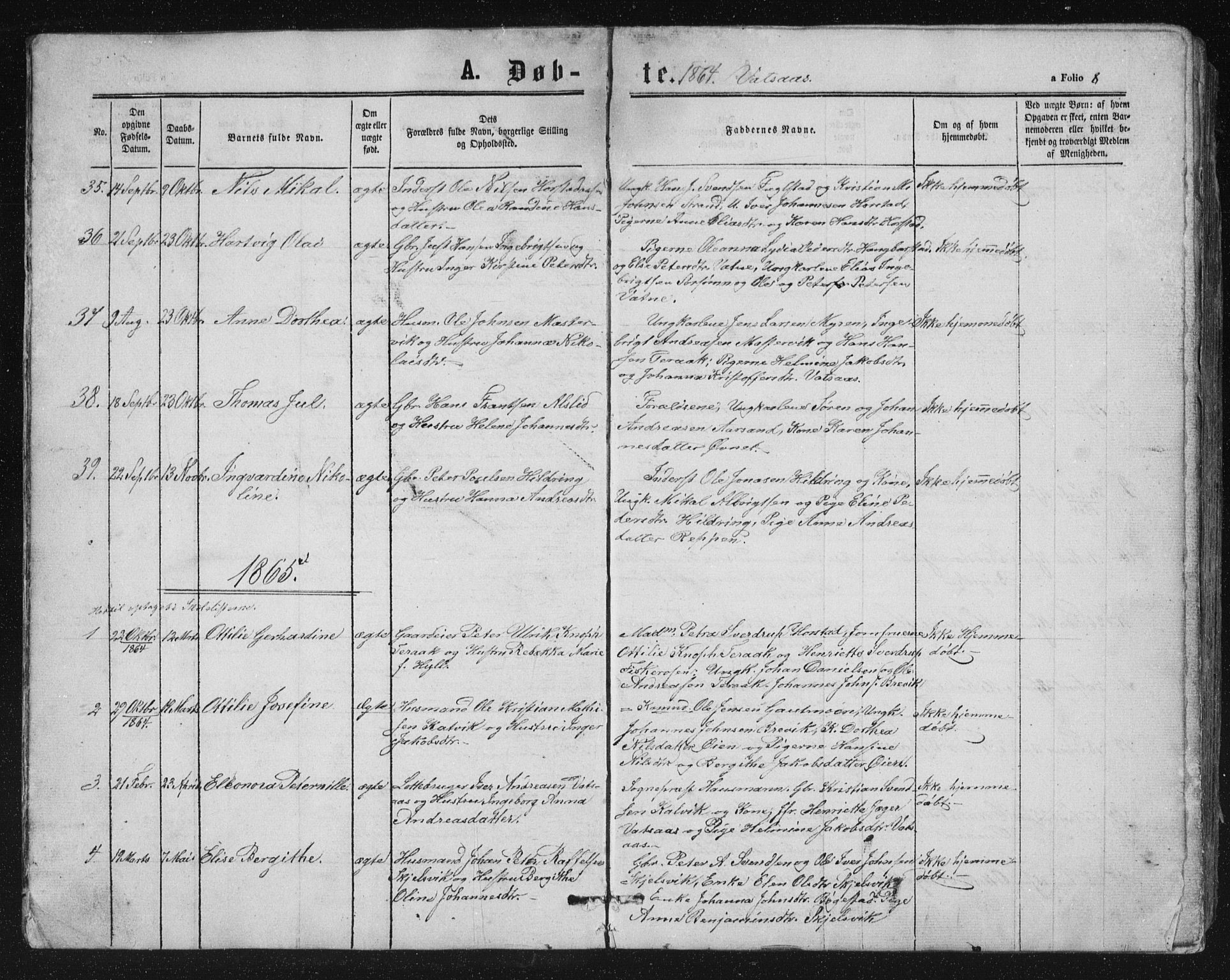 Ministerialprotokoller, klokkerbøker og fødselsregistre - Nordland, AV/SAT-A-1459/810/L0158: Parish register (copy) no. 810C02 /1, 1863-1883, p. 8