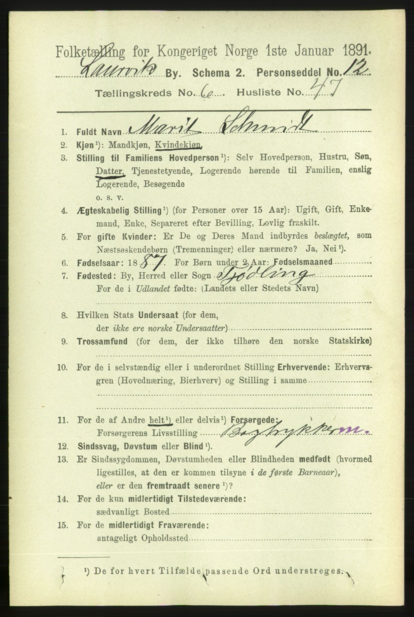 RA, 1891 census for 0707 Larvik, 1891, p. 7143