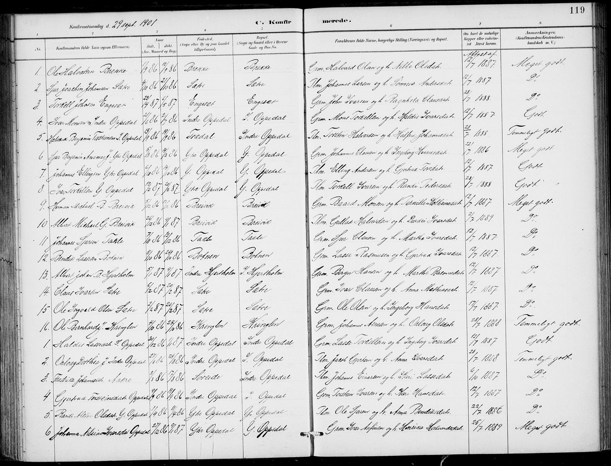 Gulen sokneprestembete, SAB/A-80201/H/Haa/Haac/L0002: Parish register (official) no. C  2, 1882-1914, p. 119
