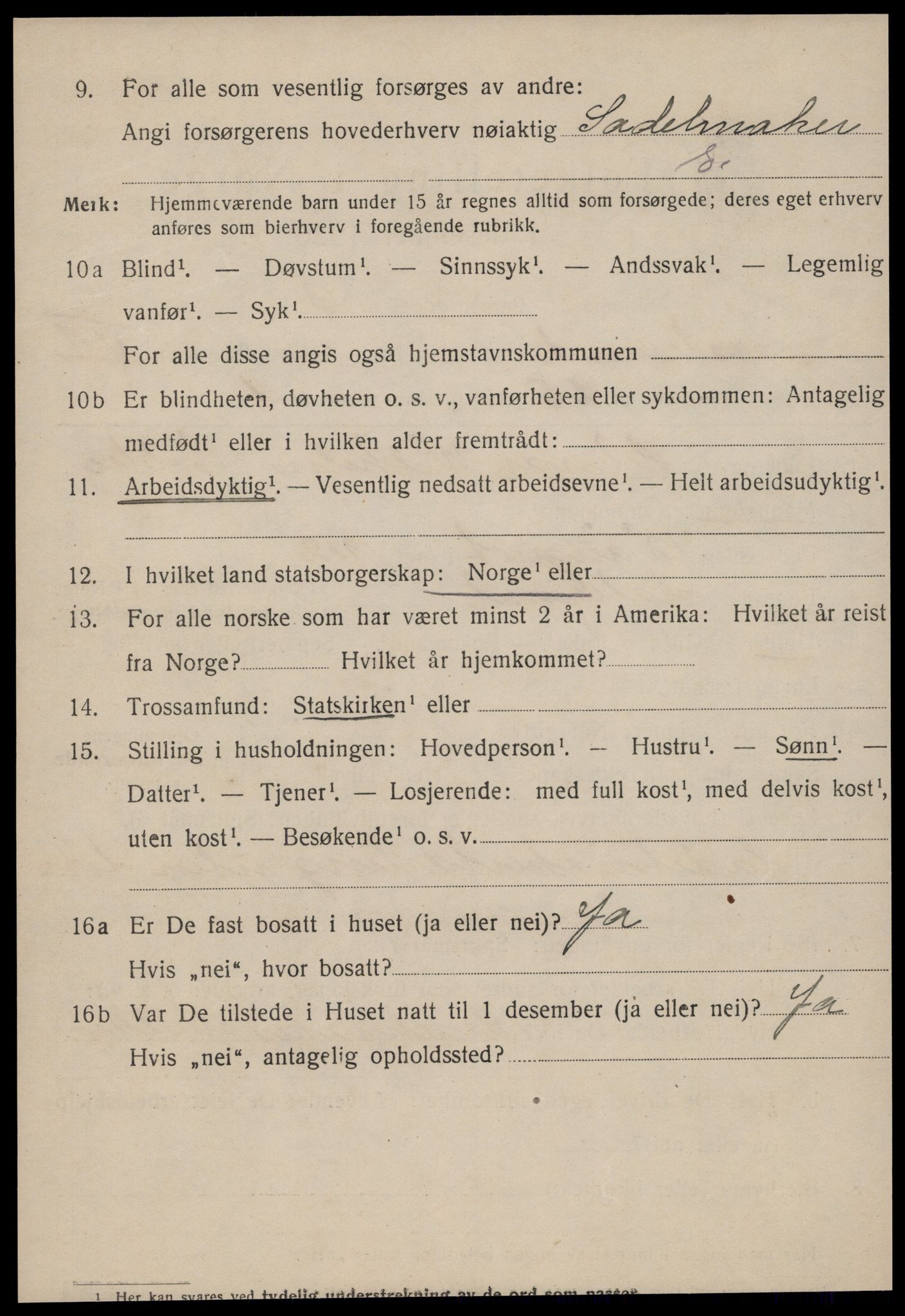 SAT, 1920 census for Ålesund, 1920, p. 20007
