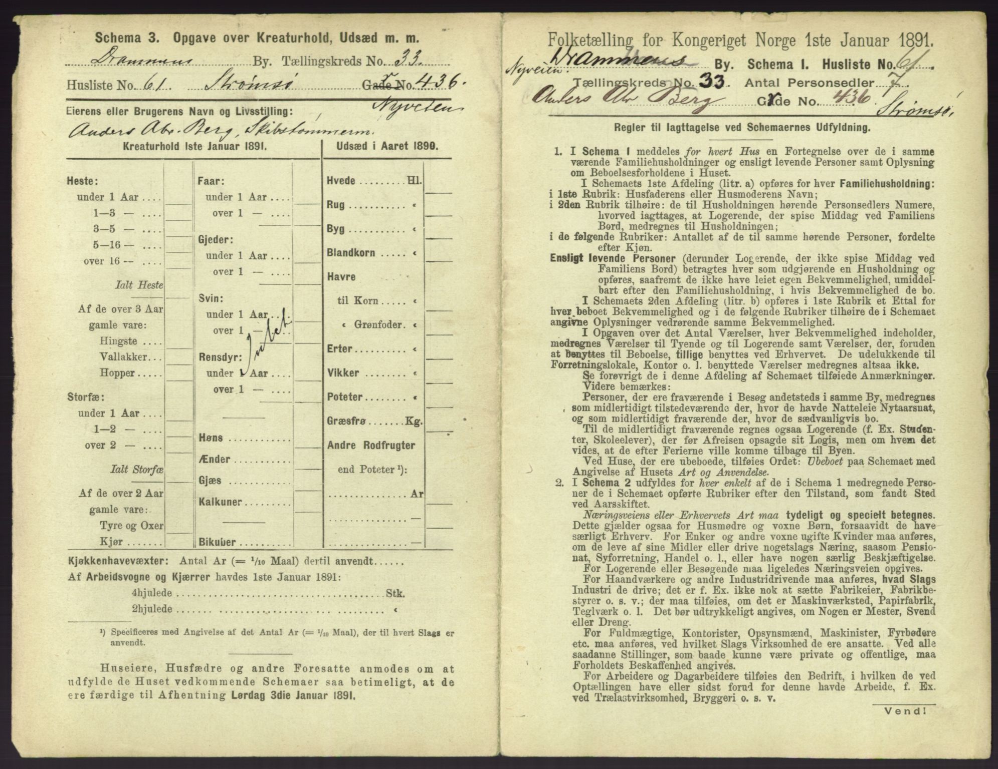 RA, 1891 census for 0602 Drammen, 1891, p. 2991