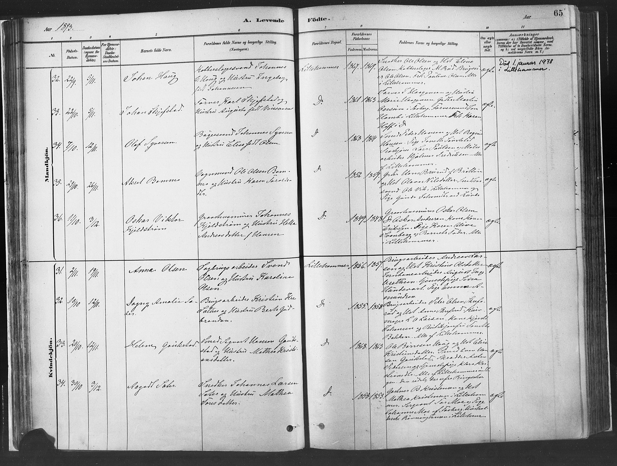 Fåberg prestekontor, SAH/PREST-086/H/Ha/Haa/L0010: Parish register (official) no. 10, 1879-1900, p. 65