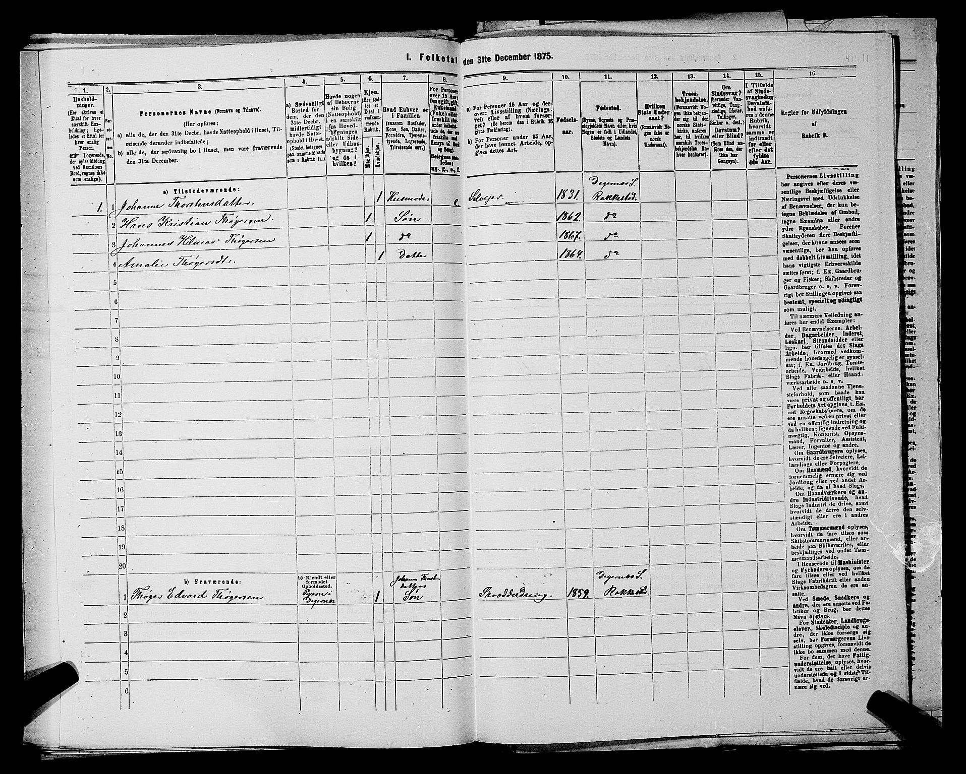 RA, 1875 census for 0128P Rakkestad, 1875, p. 917