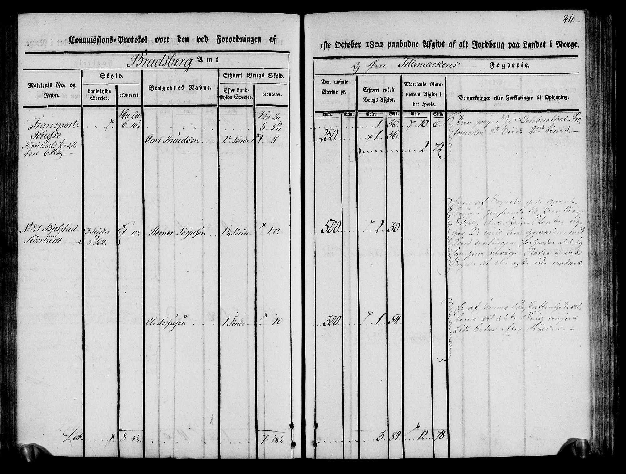 Rentekammeret inntil 1814, Realistisk ordnet avdeling, AV/RA-EA-4070/N/Ne/Nea/L0075: Øvre Telemarken fogderi. Kommisjonsprotokoll for fogderiets vestre del - Kviteseid, Vinje, Moland [):Fyresdal] og Lårdal prestegjeld., 1803, p. 213