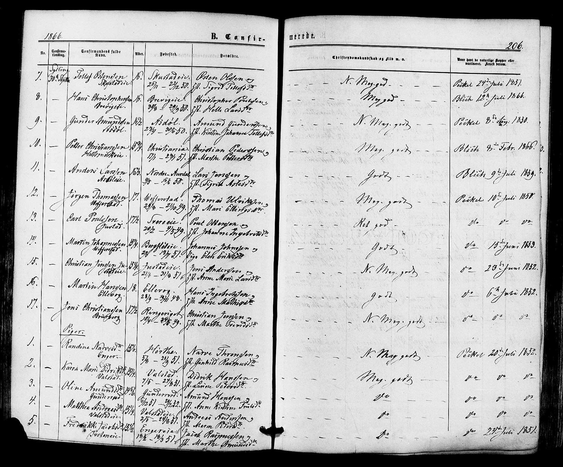 Lier kirkebøker, SAKO/A-230/F/Fa/L0013: Parish register (official) no. I 13, 1865-1874, p. 206