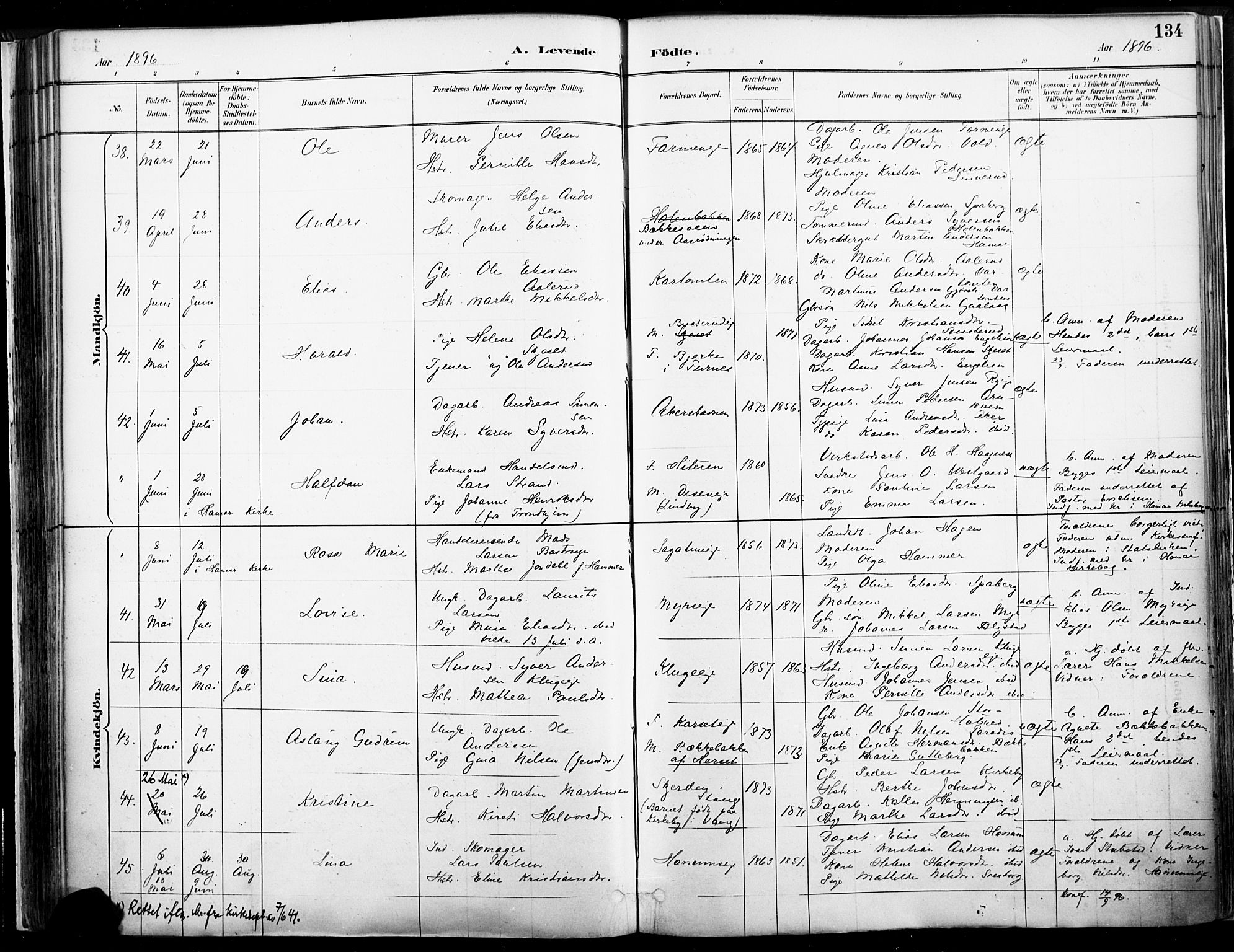 Vang prestekontor, Hedmark, AV/SAH-PREST-008/H/Ha/Haa/L0019A: Parish register (official) no. 19, 1886-1900, p. 134