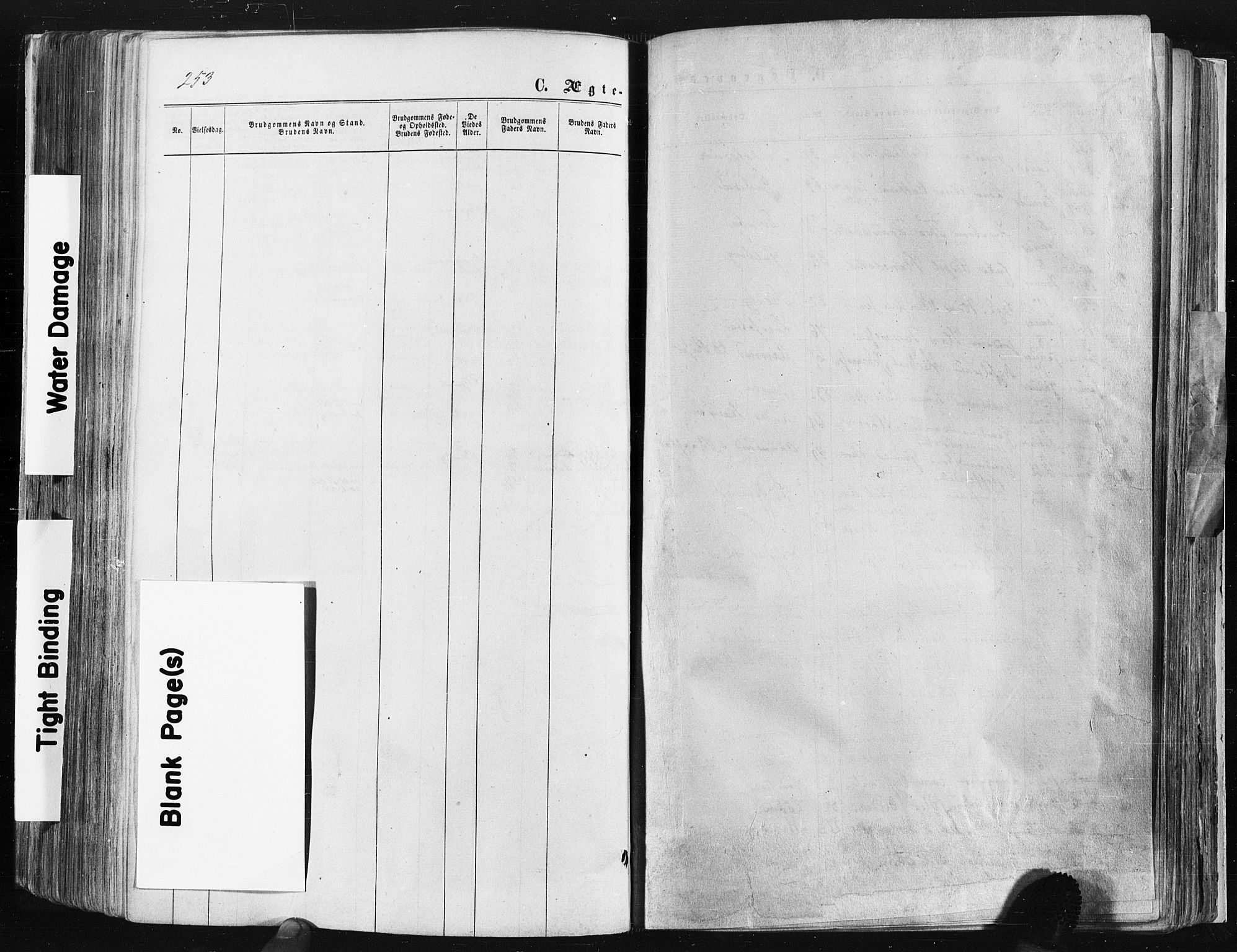 Trøgstad prestekontor Kirkebøker, AV/SAO-A-10925/F/Fa/L0009: Parish register (official) no. I 9, 1865-1877, p. 253