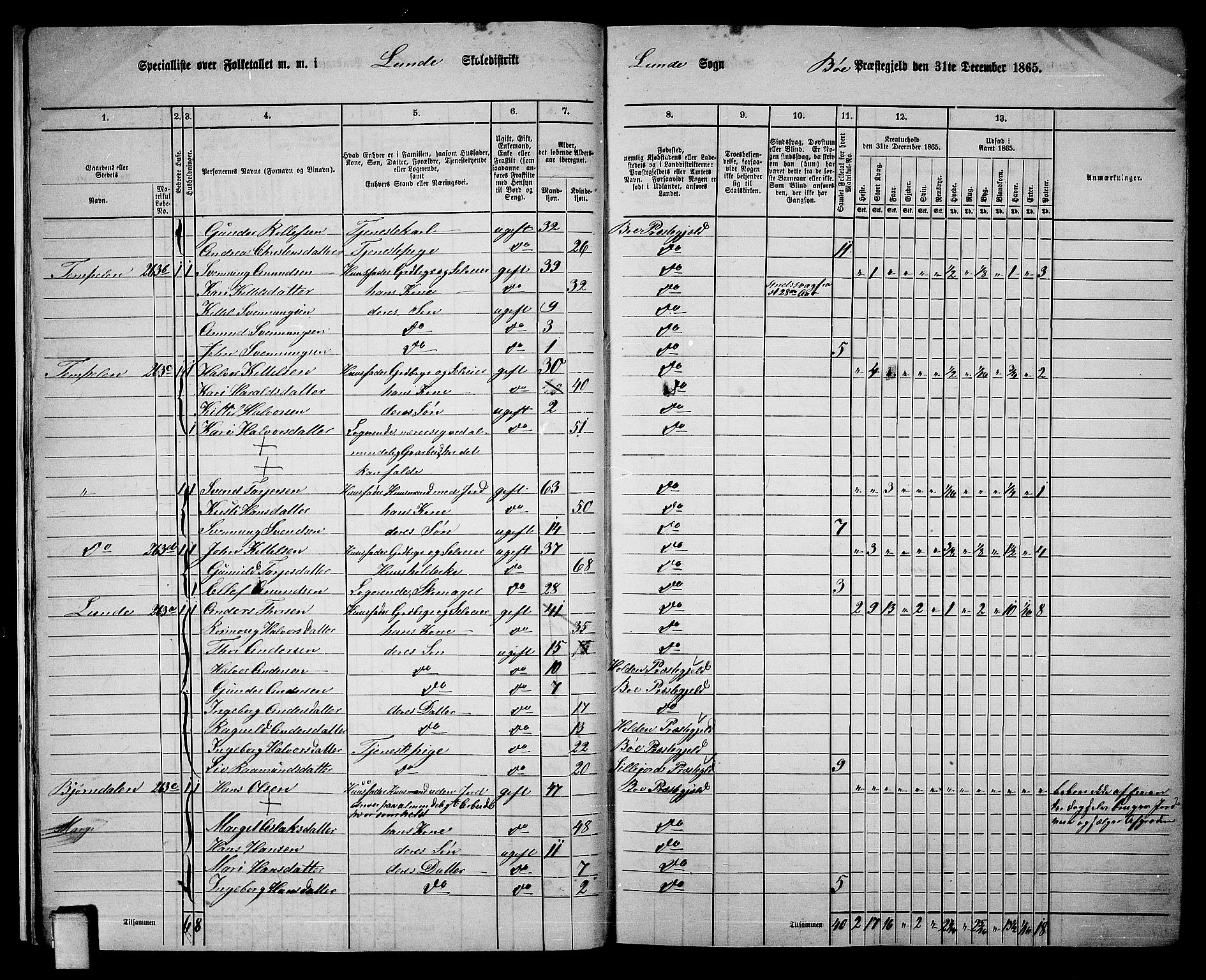 RA, 1865 census for Bø, 1865, p. 20